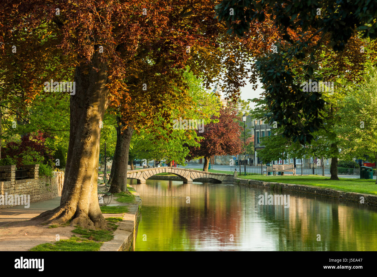 Lever du soleil de printemps en Bourton-on-the-Water, un village des Cotswolds dans Gloucestershire, en Angleterre. Banque D'Images