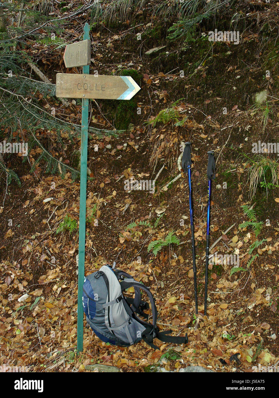 Randonnée pédestre Randonnée Randonnée d'automne fraîcheur couper direction sac à dos signpost Banque D'Images