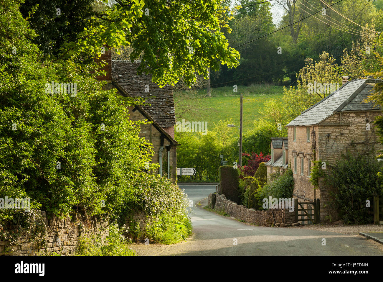 Après-midi de printemps dans la région de North Cerney, les Cotswolds, Gloucestershire, Angleterre. Banque D'Images