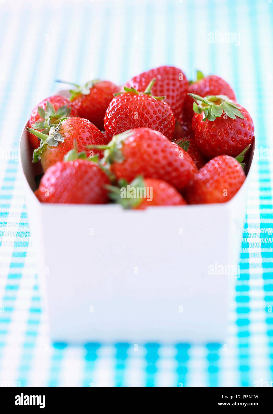 Fraise, Fragaria x ananassa, Studio shot de fruit rouge dans le récipient. Banque D'Images