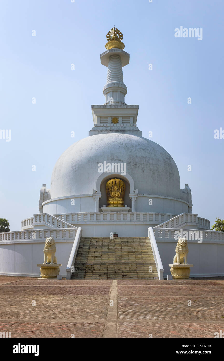 La Pagode de la paix mondiale, monument bouddhiste, baigné de soleil automne lumineux près de Vaishali, Bihar, Inde. Banque D'Images
