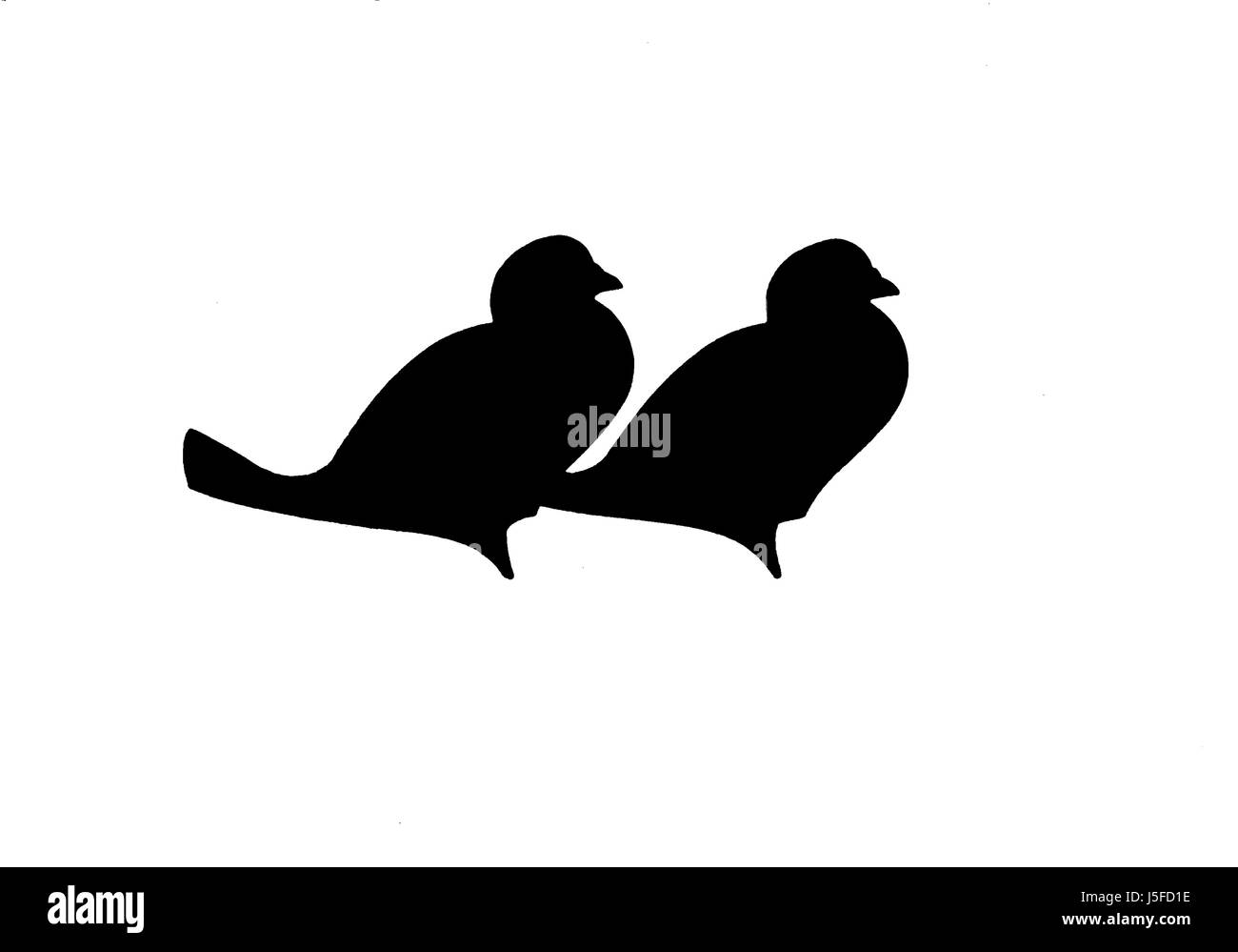 Deux oiseaux percheurs côte à côte Banque D'Images