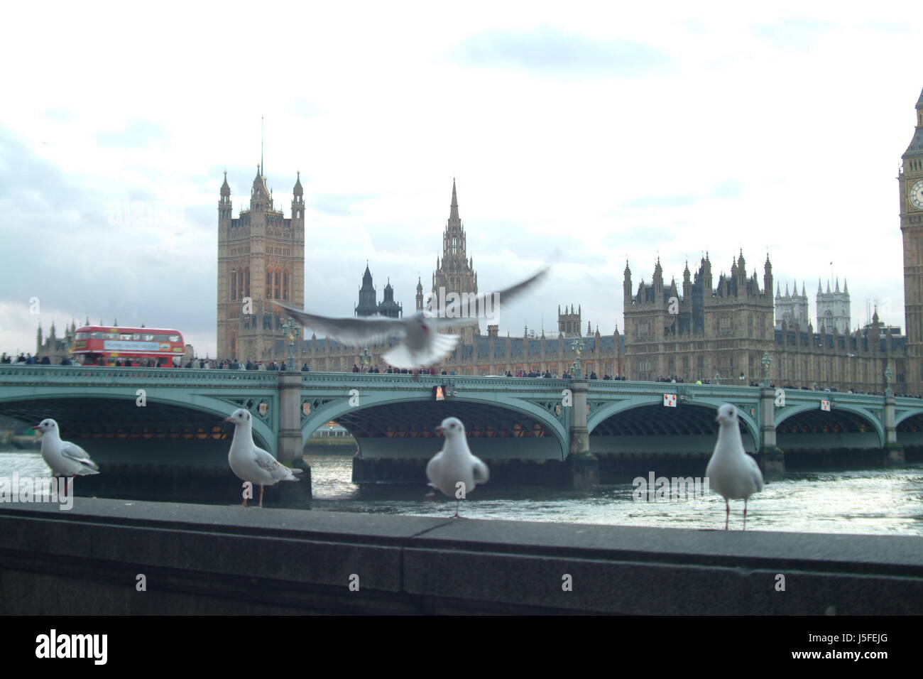 Monument metropolis pont d'oiseaux oiseaux tourisme soir liberté liberté de ponts Banque D'Images