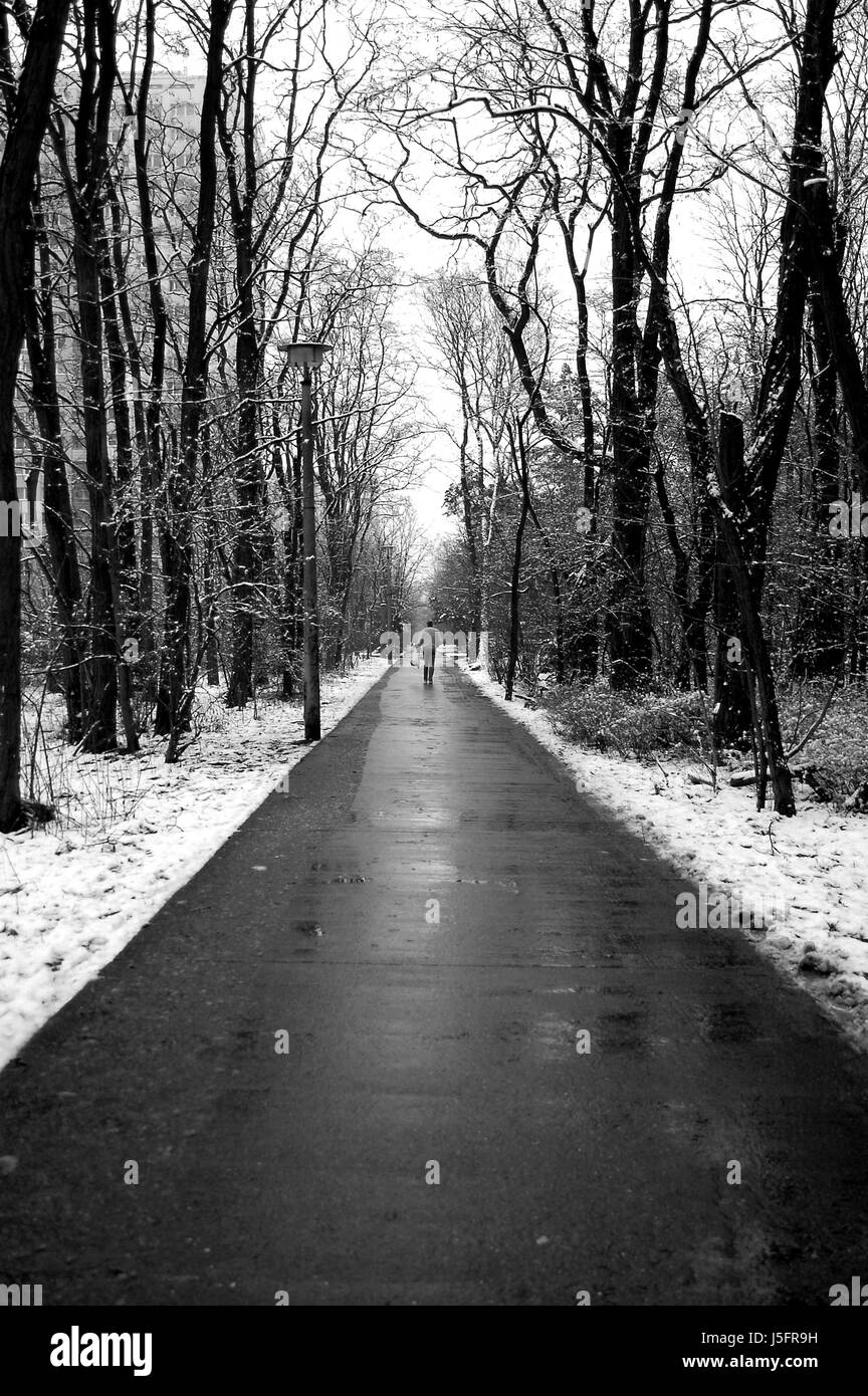 Aller à pied balades en hiver arbre arbres les droits de l'être humain pour une humide de Berlin Banque D'Images