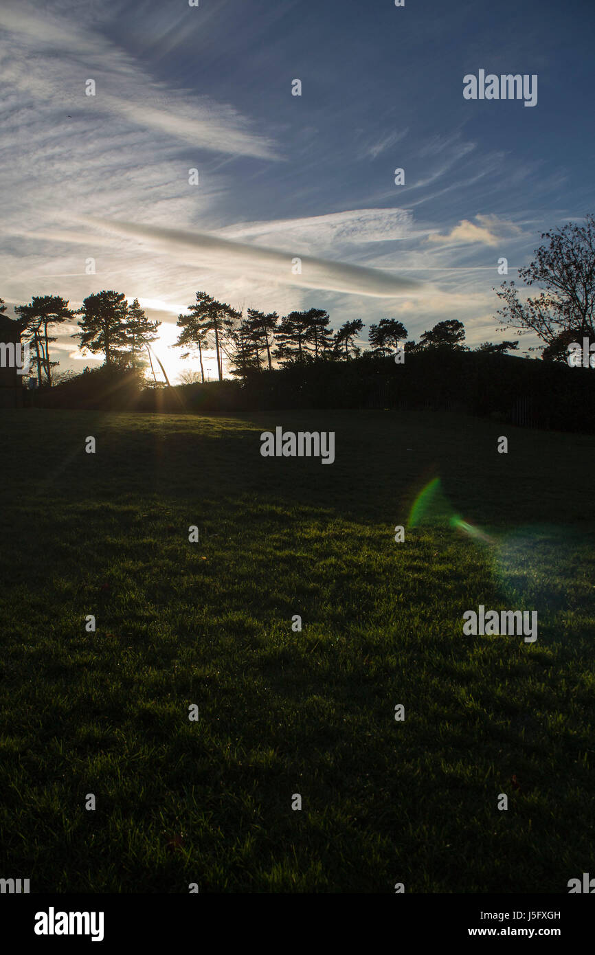 La prise d'un ciel voilé le coucher du soleil, avec le soleil vient de disparaître derrière une ligne d'arbres. silouhetted Banque D'Images