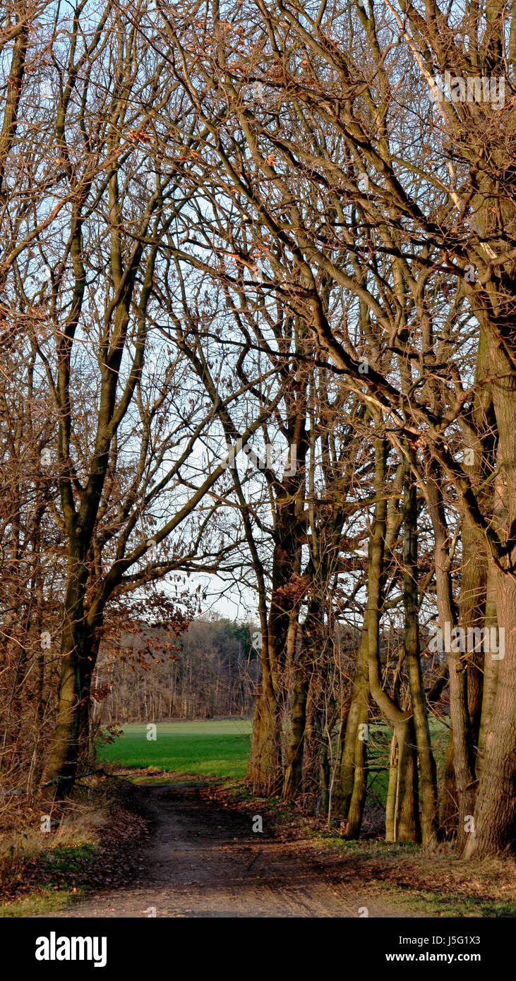 nature-dom Banque D'Images