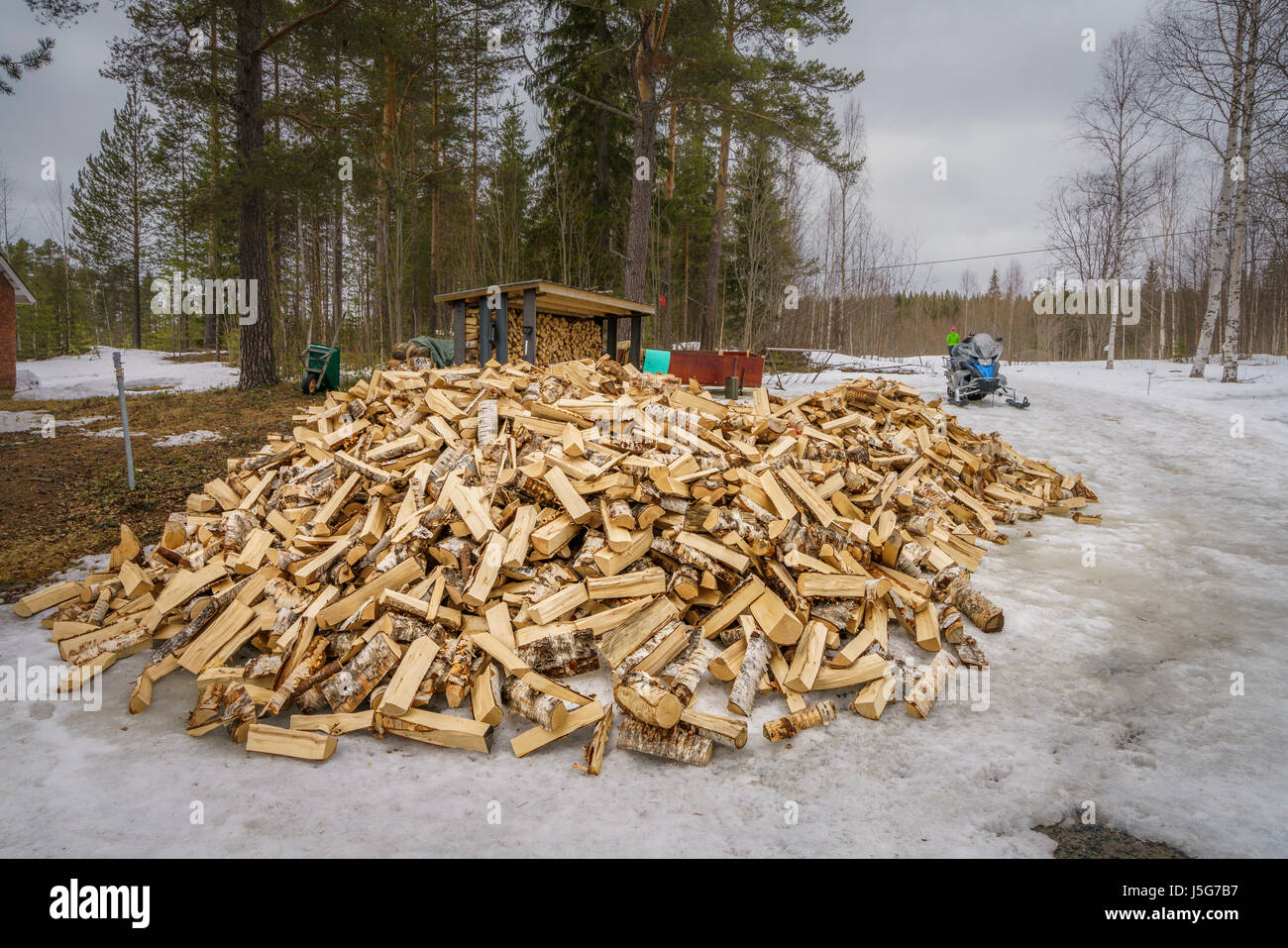 Tas de bois pour feux de camp, Laponie, Suède Banque D'Images