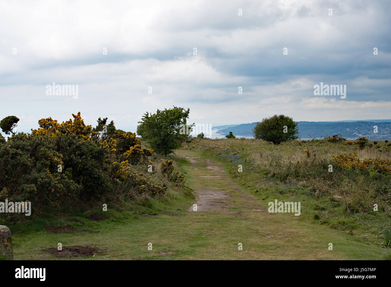 Le sentier des douaniers en haut de Golden Cap. Banque D'Images