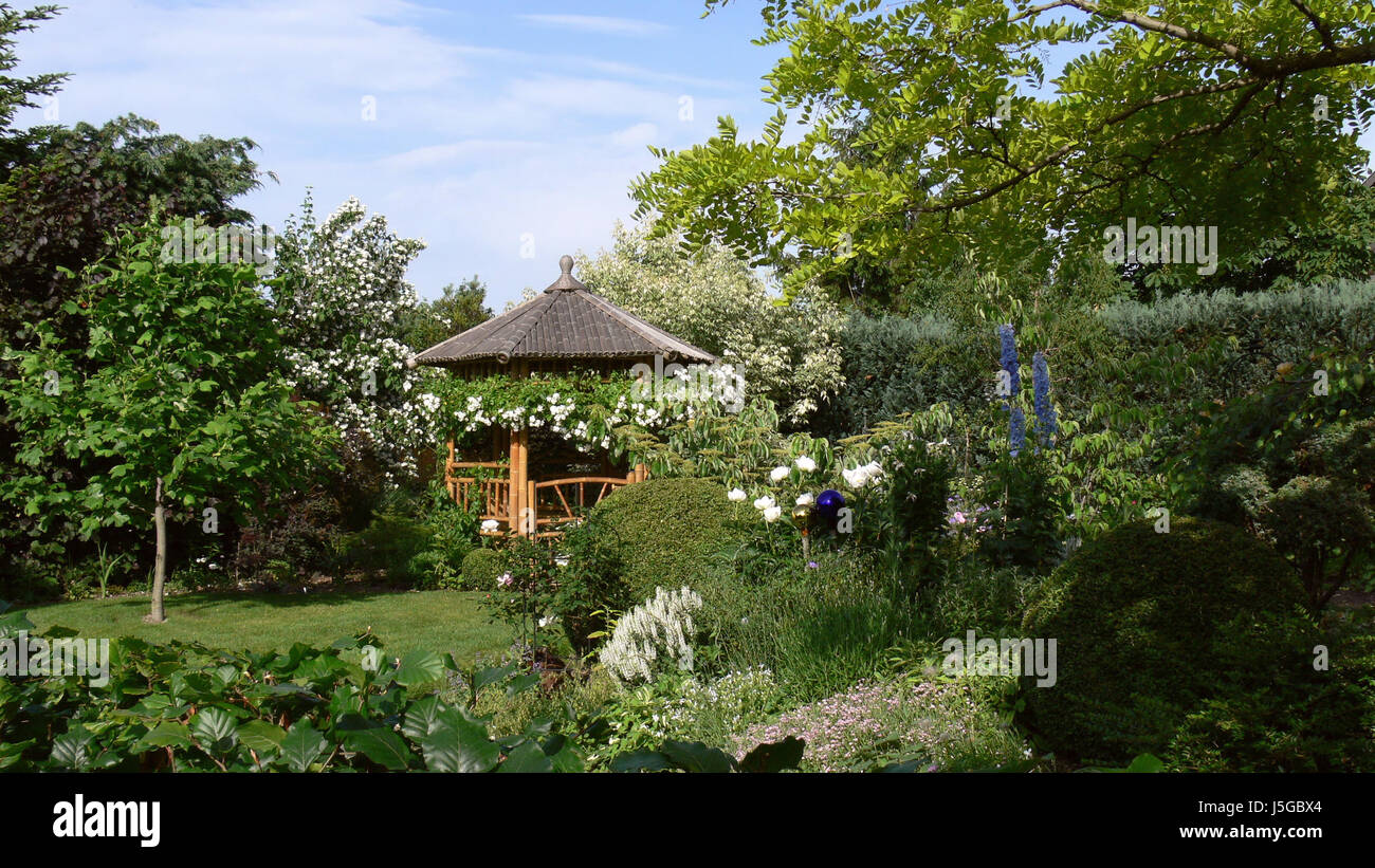 Plante verte jardin jardin public gardens pavilion formation formation conception Banque D'Images