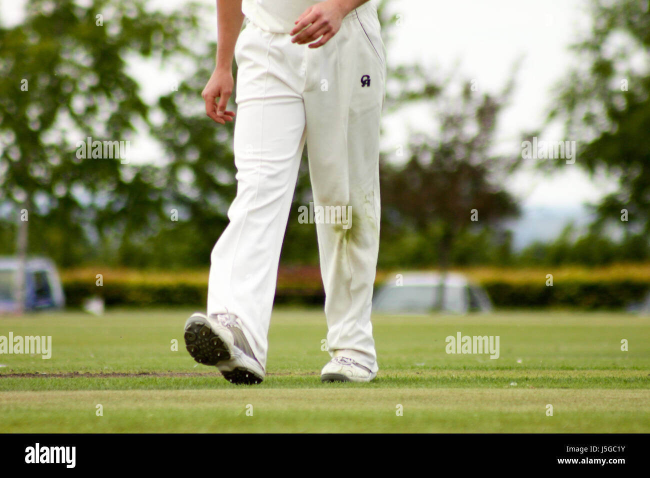 Anglais Cricketer's pantalon taché d'herbe Banque D'Images