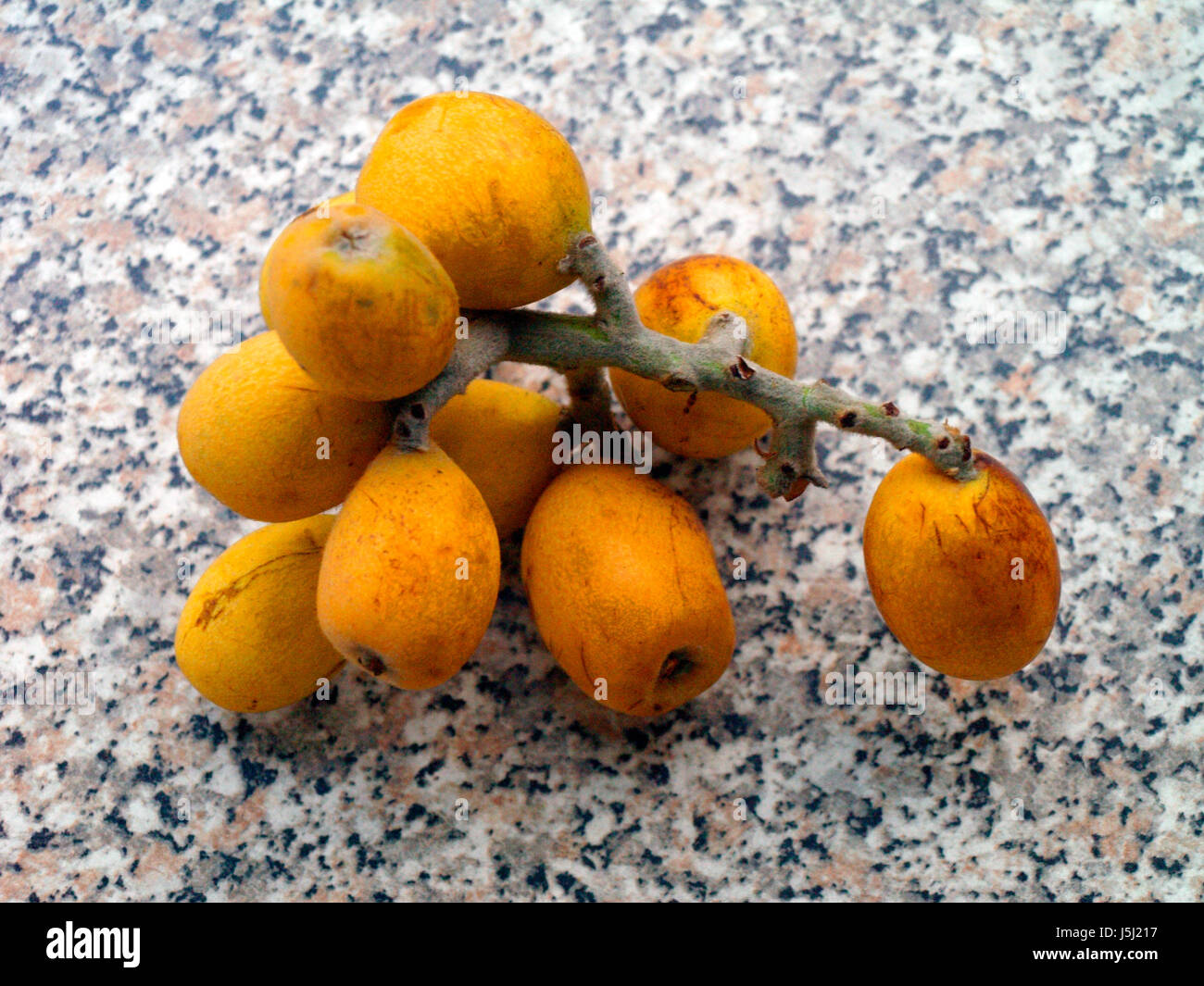Fruits fruits fruits progénitures pierre orange jaune néflier mespilus nespre nespra Banque D'Images