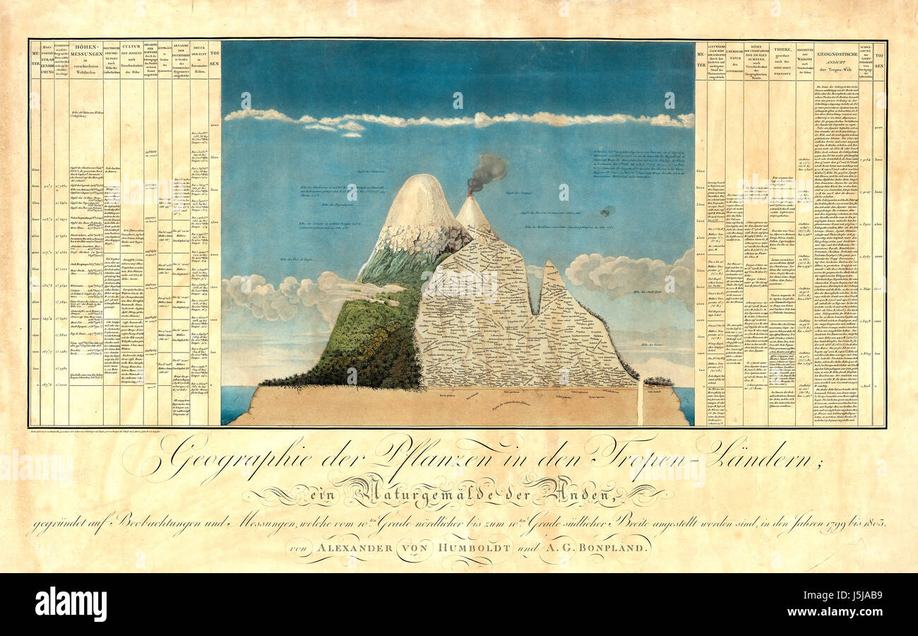 ALEXANDER VON HUMBOLDT (1769-1859) Schéma de Chimborazo montrant sa formulation d'Naturgemälde à partir de sa géographie, de plantes, 1807 Banque D'Images