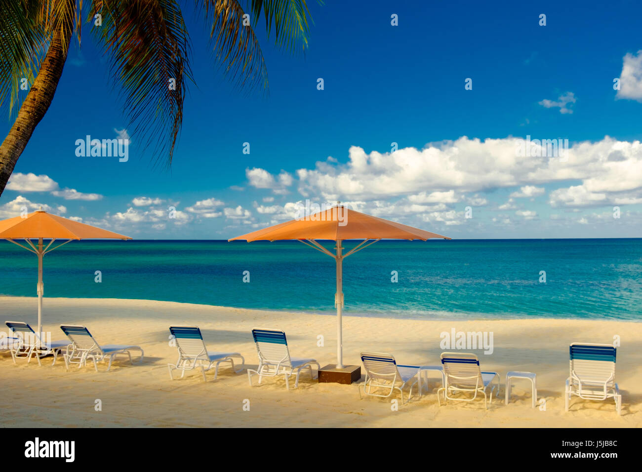 Parasols et chaises longues sur Seven Mile Beach par la mer des Caraïbes, Grand Cayman Banque D'Images