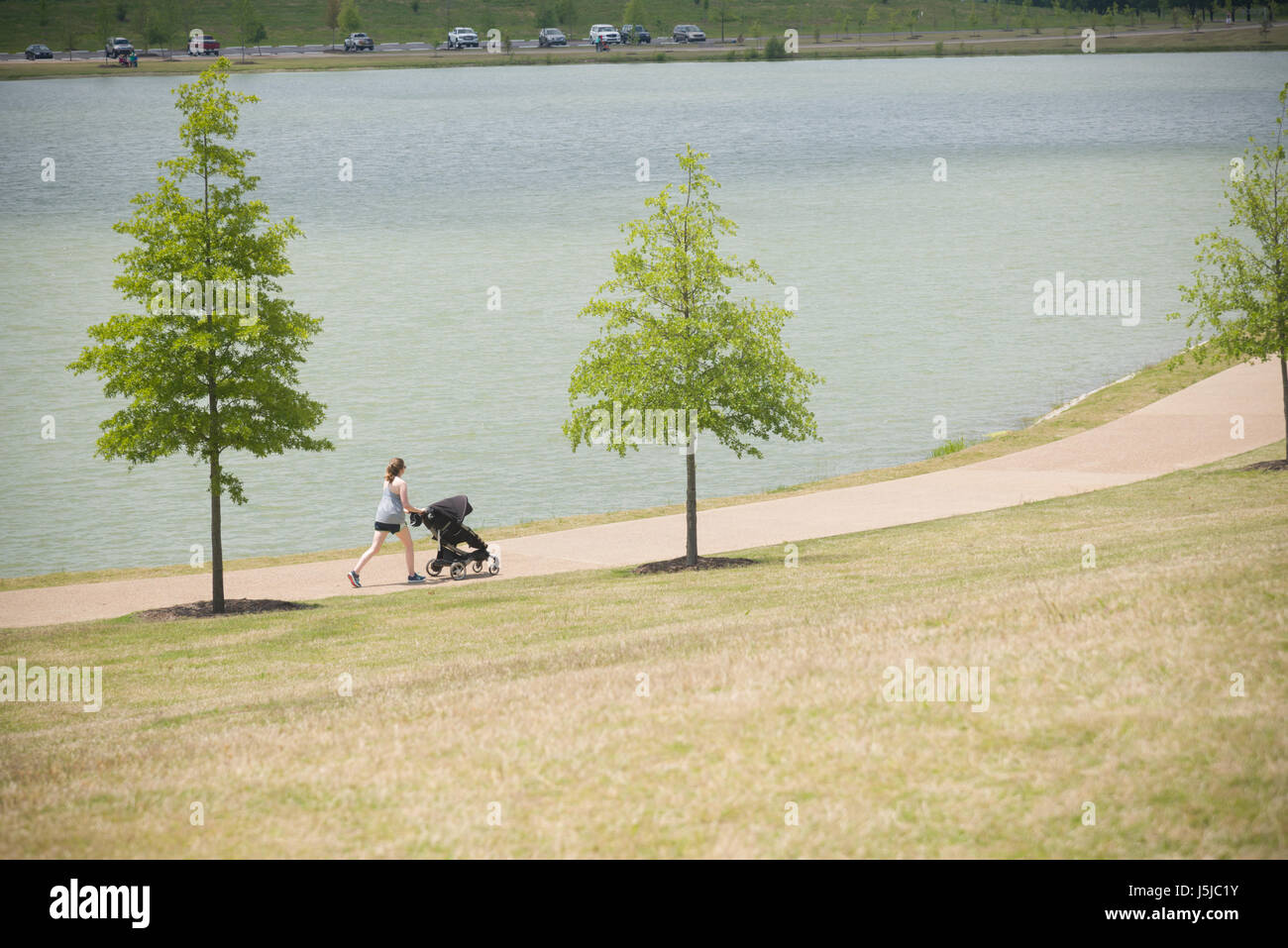 Dame avec la poussette de bébé marche autour du lac Patriot à Shelby Farms Park près de Memphis au Tennessee. 2,5 km sentier entoure le lac. Banque D'Images