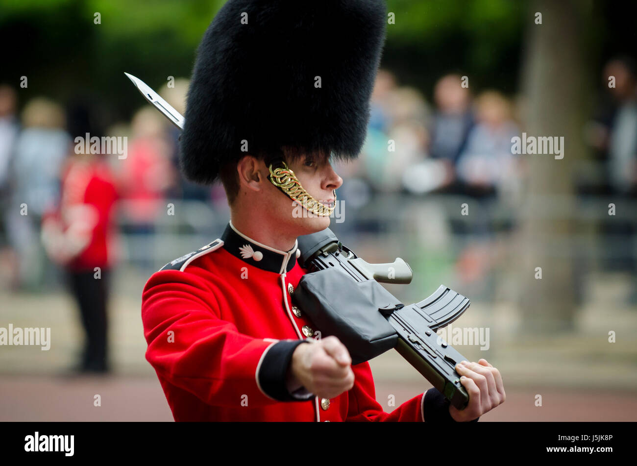Londres - le 13 juin 2015 : garde royale dans un manteau rouge en fourrure d'ours et les marches busby hat Mall tenant son fusil dans un défilé de l'apparat. Banque D'Images