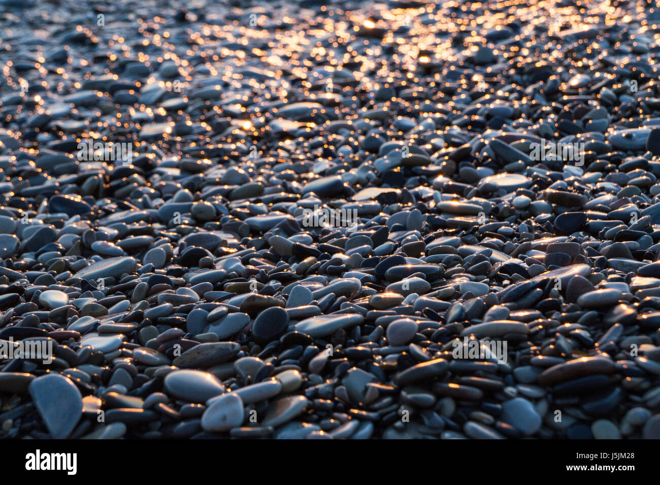 Brillant humide des pierres sur le coucher du soleil sur la plage. Close-up texture de fond Banque D'Images