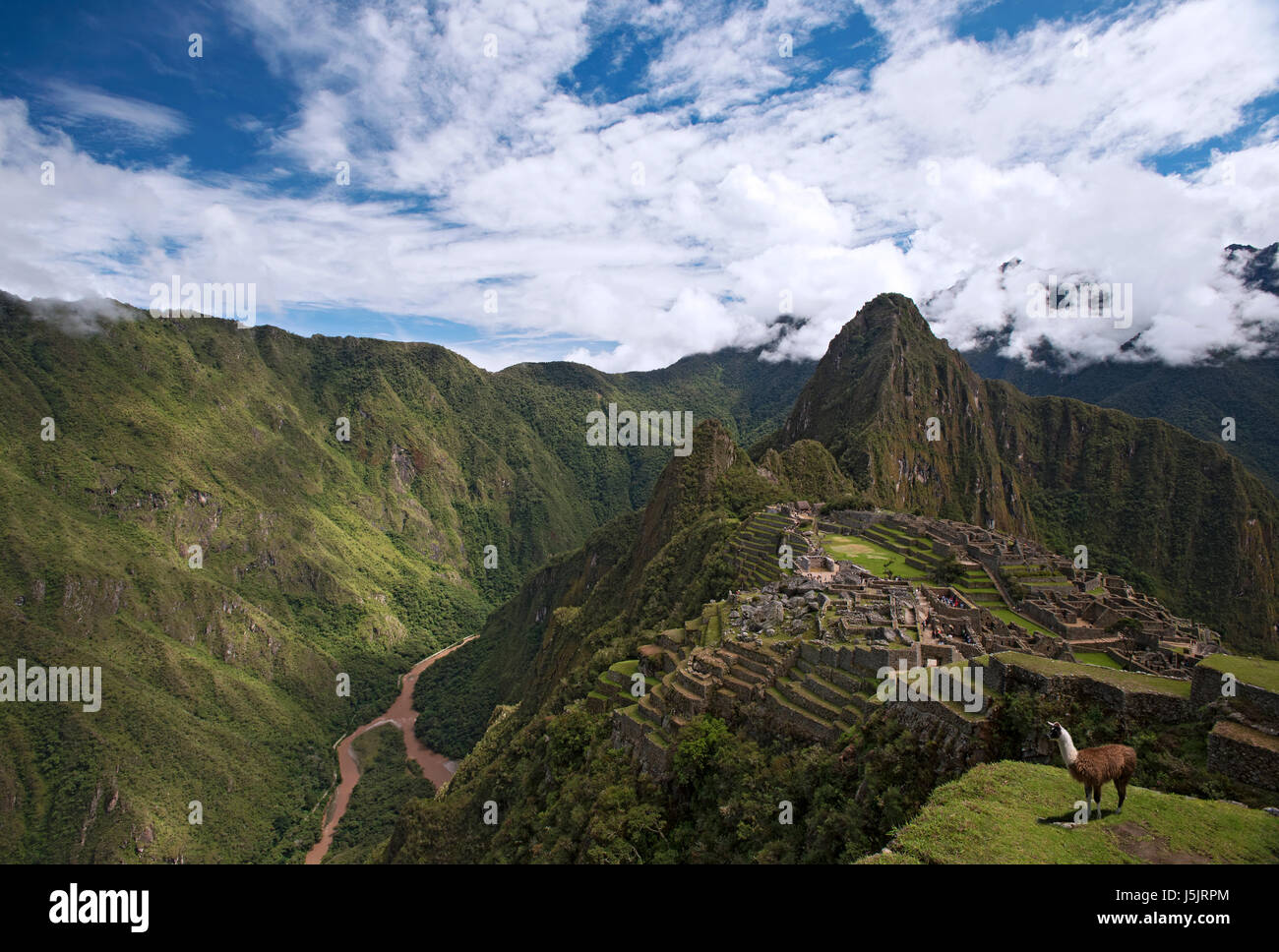 Les ruines de Machu Picchu, Pérou Banque D'Images