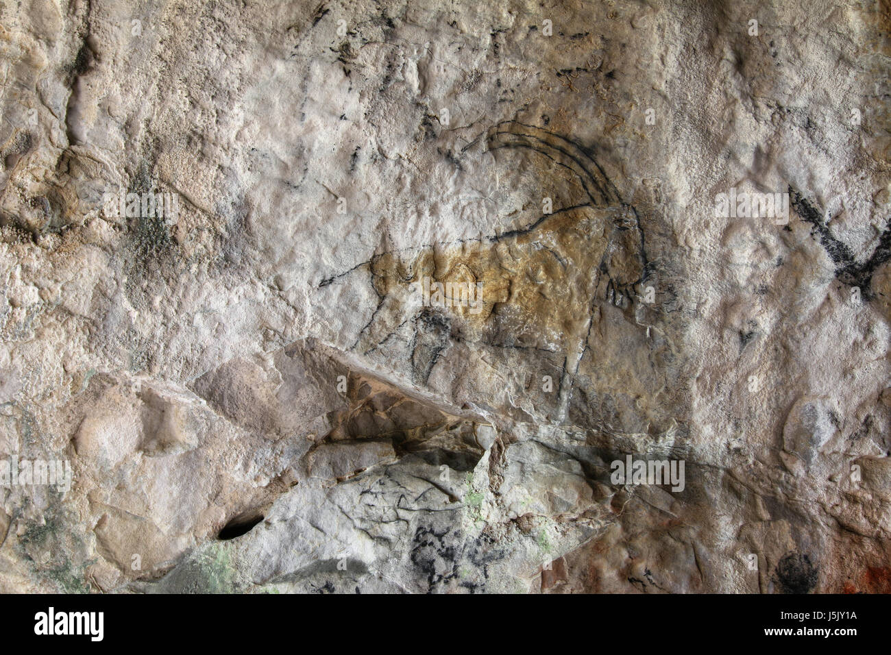 Grotte préhistorique en peinture style - détail Banque D'Images