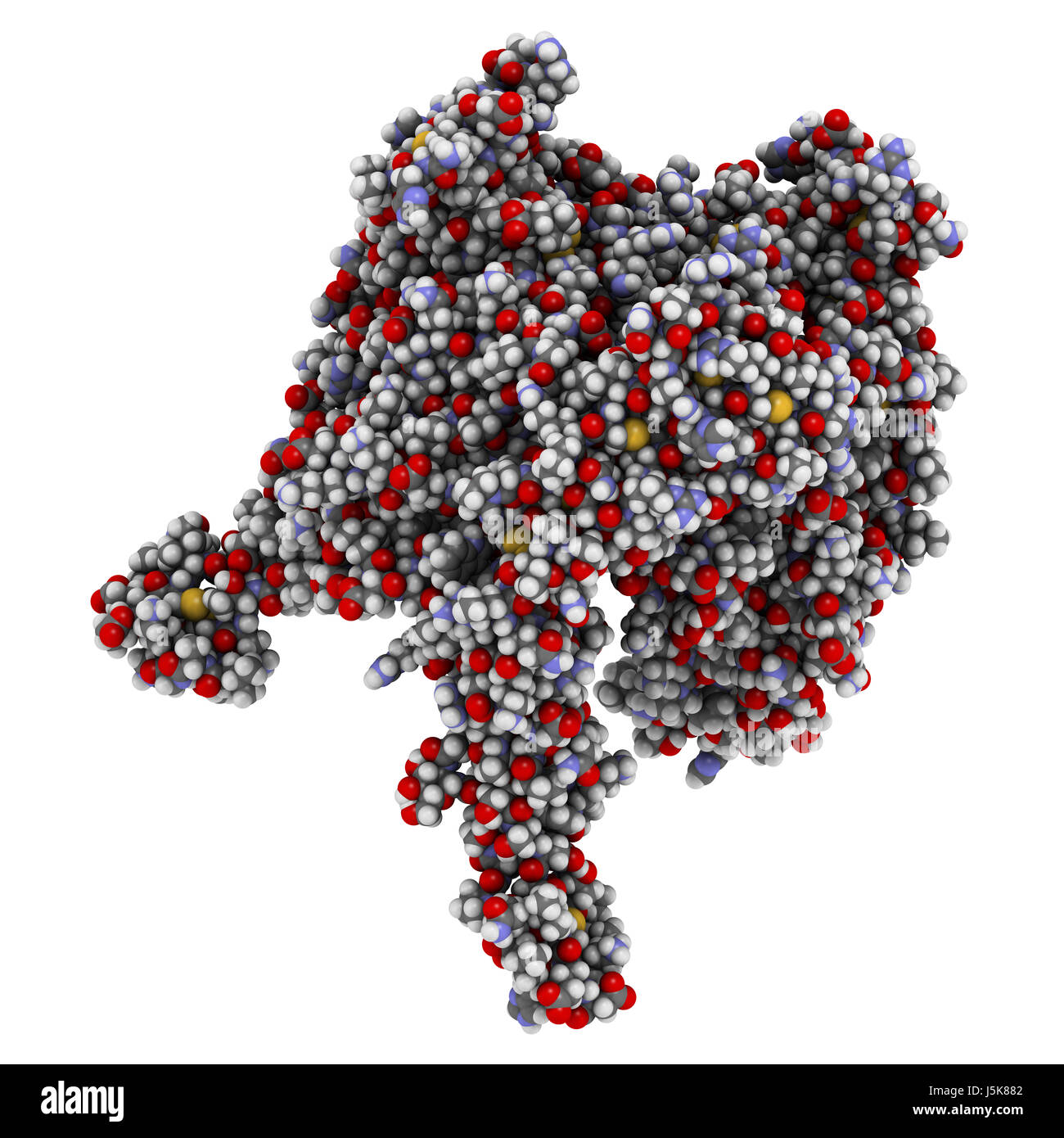 OX40-OX40L (complexes domaines extracellulaires). OX40 est également connu comme membre de la superfamille du facteur de nécrose tumorale (TNFRSF4 4) ou CD134. Banque D'Images