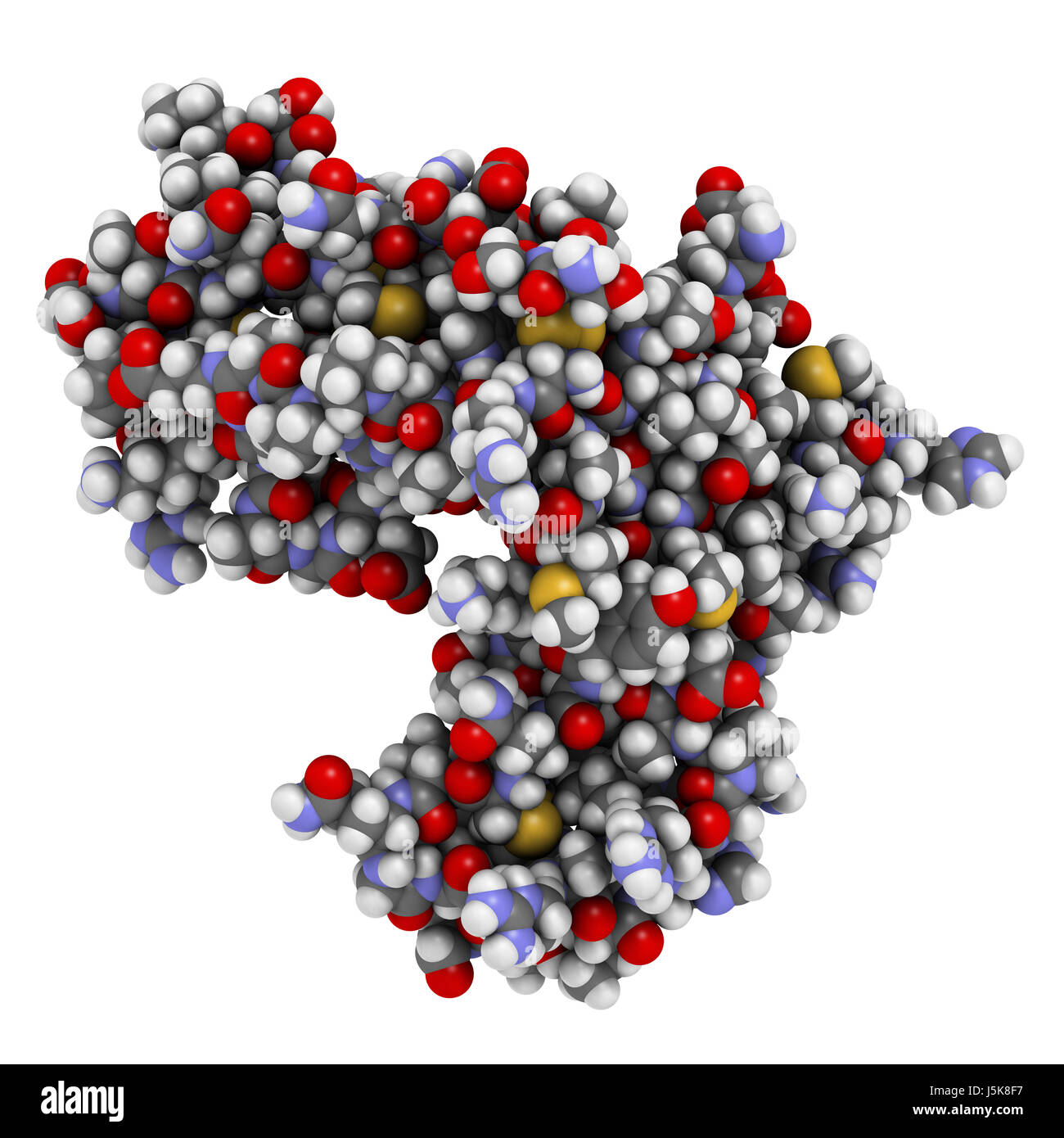La chaîne alpha du récepteur de l'interleukine-2 (CD25, domaine extracellulaire). CD25 est la cible de l'anticorps monoclonal daclizumab des drogues. Banque D'Images