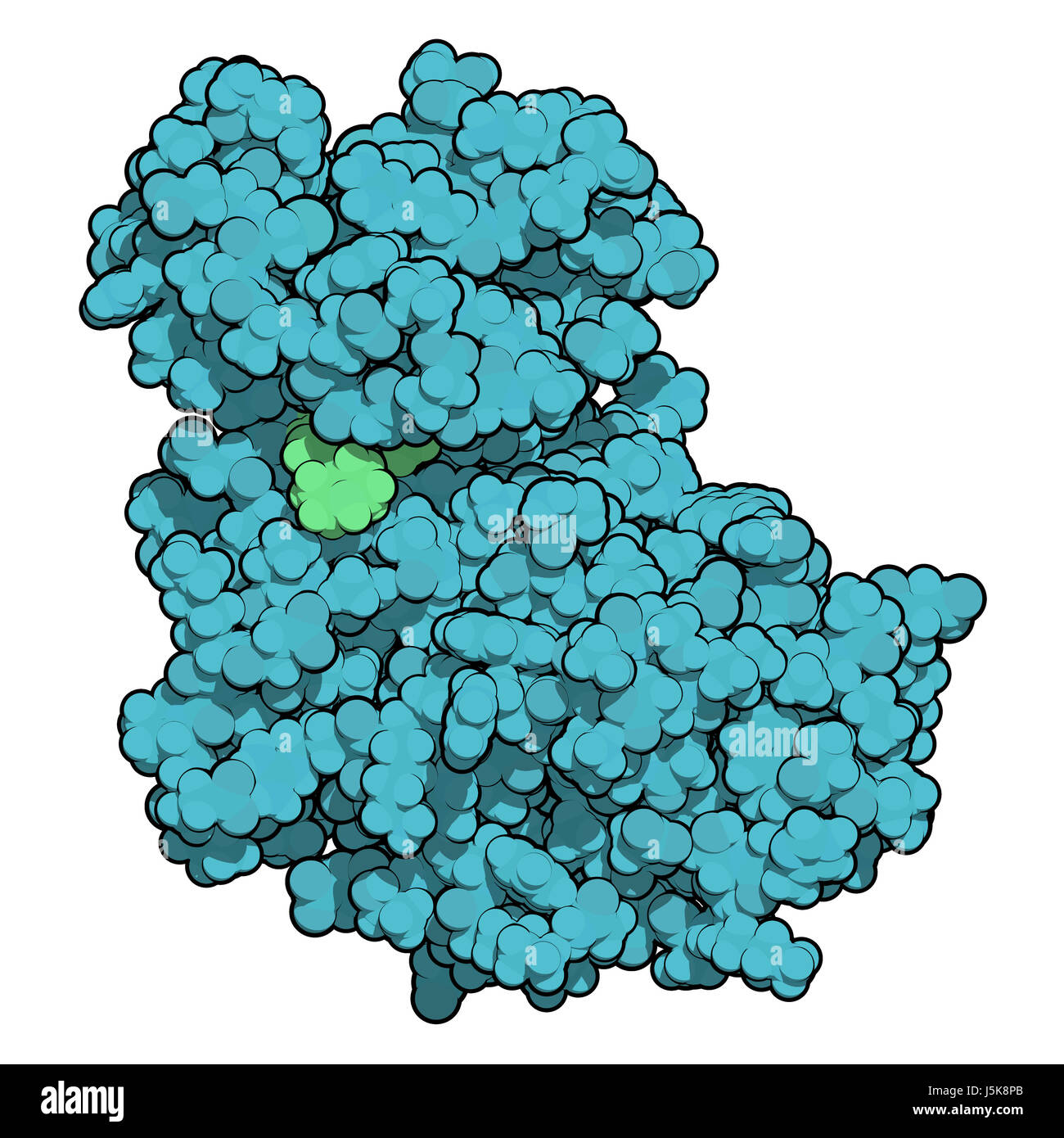 La kinase cycline-dépendante CDK6 (6) lié à l'inhibiteur ribociclib. Enzyme impliquée dans la régulation du cycle cellulaire et de la cible de plusieurs médicaments antitumoraux. Banque D'Images