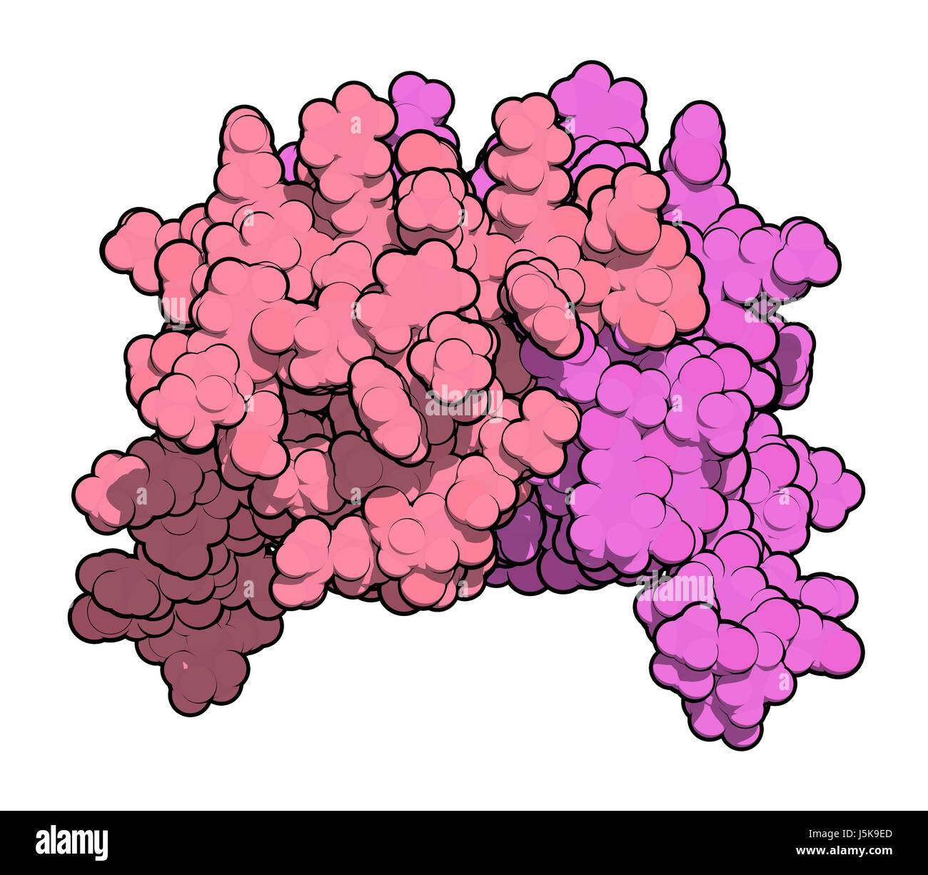 L'interleukine 8 (IL-8), protéine de cytokines. IL8 peuvent être sécrétées par les macrophages et un certain nombre d'autres types de cellules. Banque D'Images