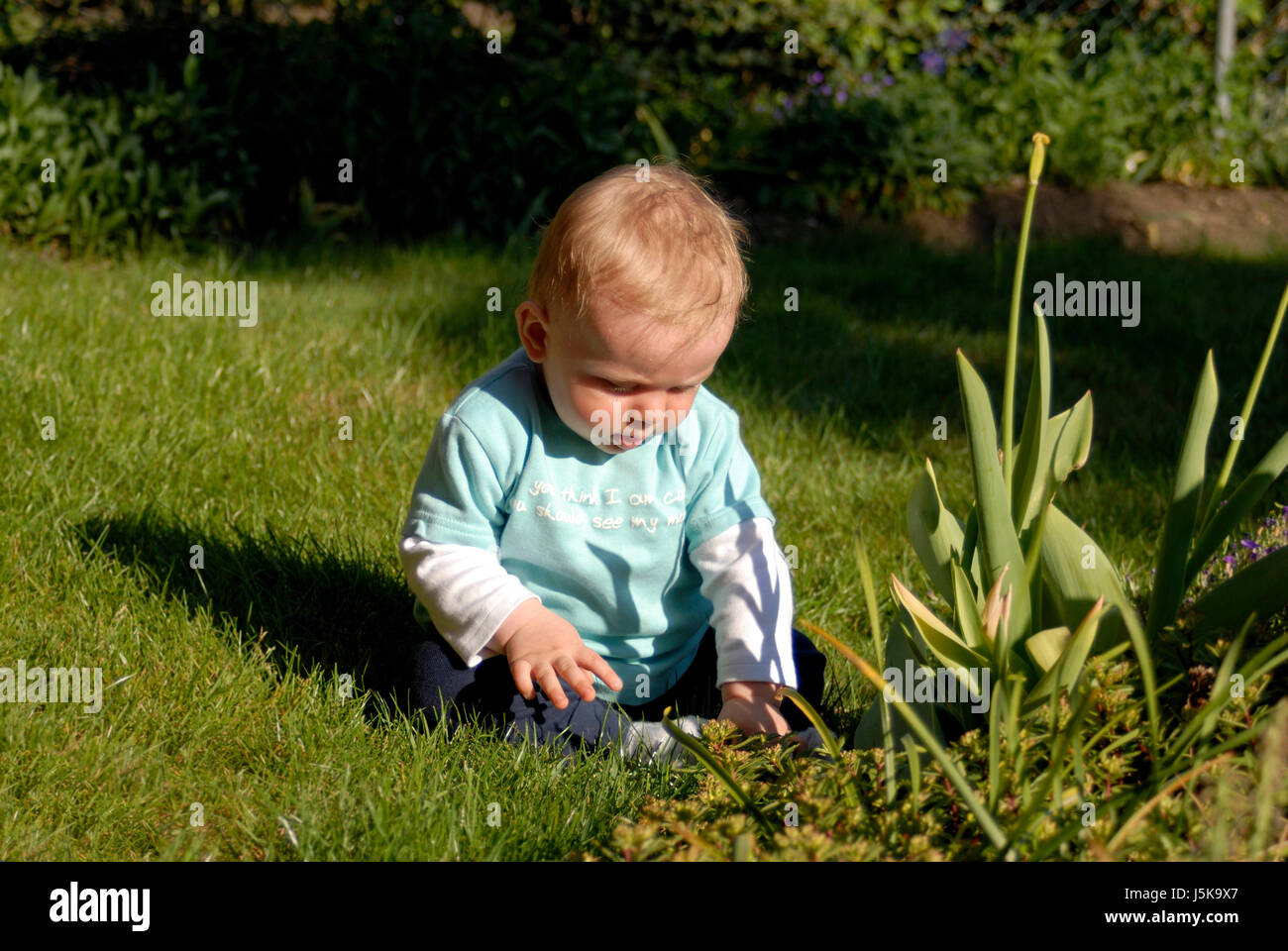Tournoi de jeu jouer jouer joue joué vert plante de jardin jardins bébé Banque D'Images