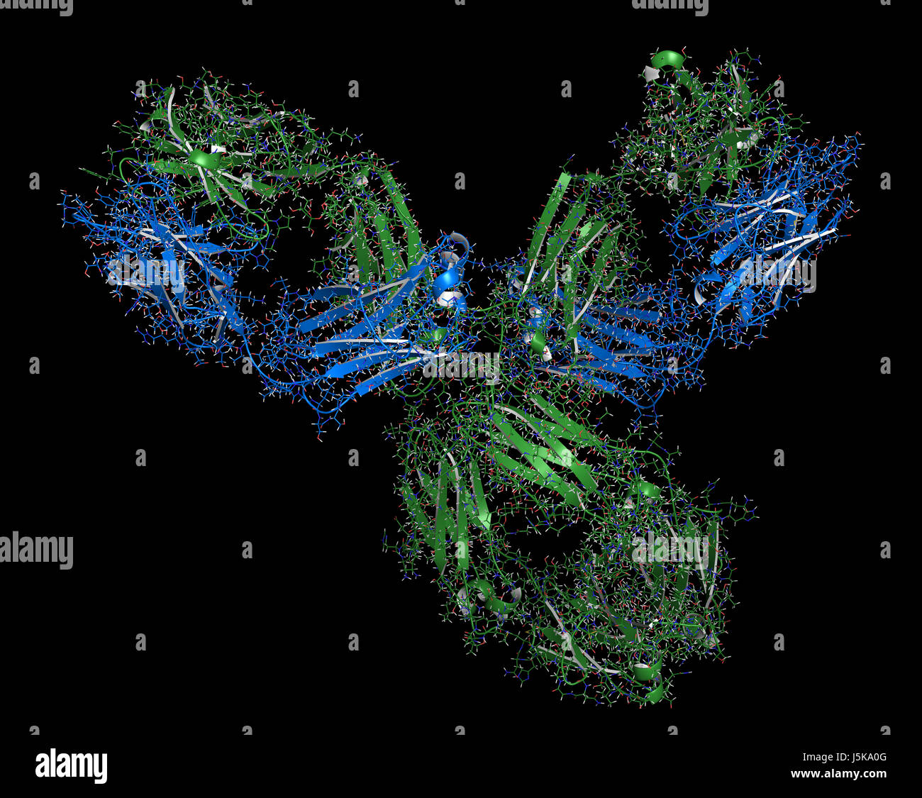 Pembrolizumab médicament anticorps protéine. Contrôle immunitaire ciblant inhibiteur PD-1, utilisé dans le traitement d'un certain nombre de cancers. Banque D'Images