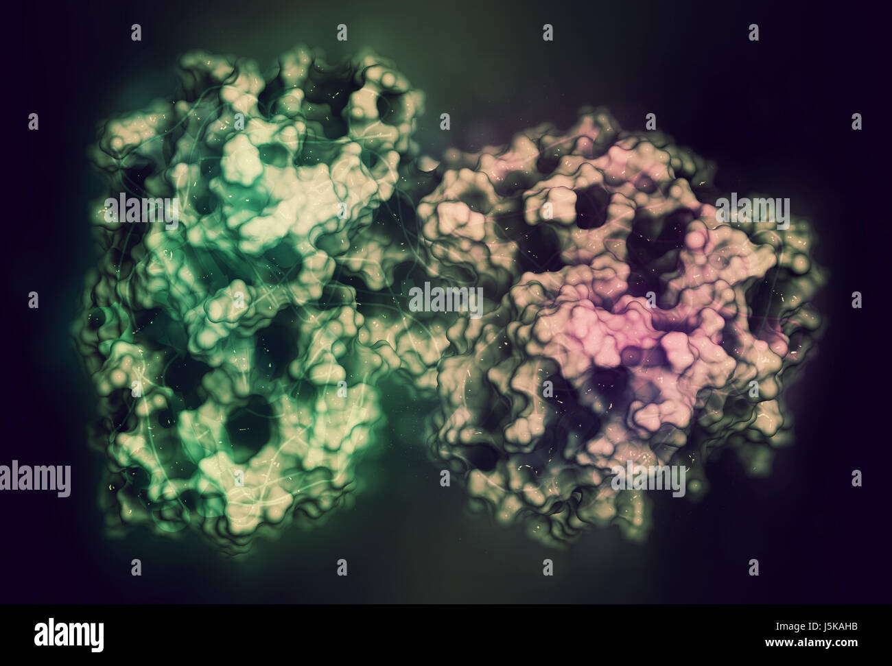 Tripeptidyl peptidase I enzyme. Des mutations dans le gène correspondant PPT1 conduisent à la fin de céroïde lipofuscinose neuronale neuronale infantile. Banque D'Images