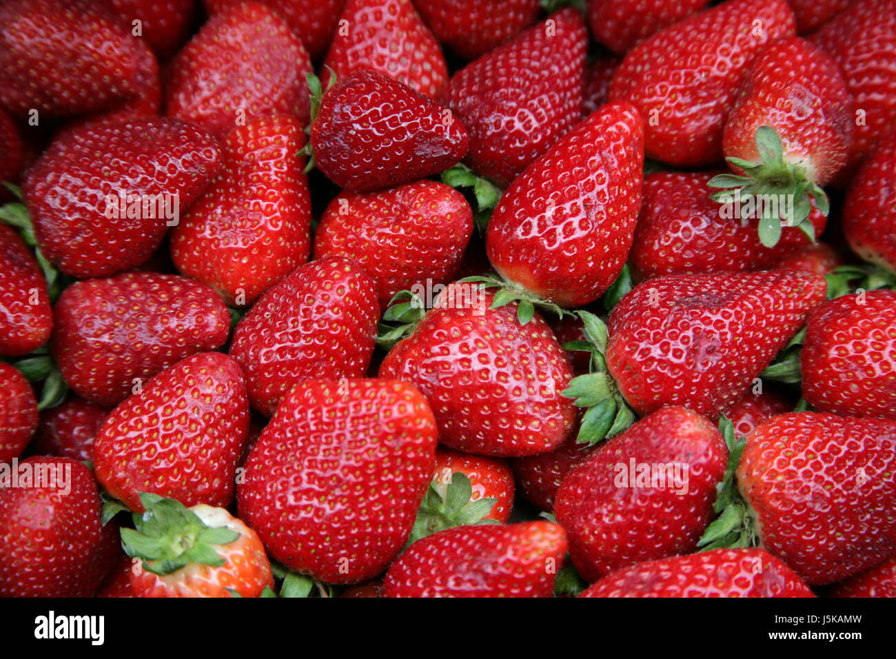 Aliment alimentaire descendances flore fruits fruits cuisine cuisine repas plat de fraises Banque D'Images