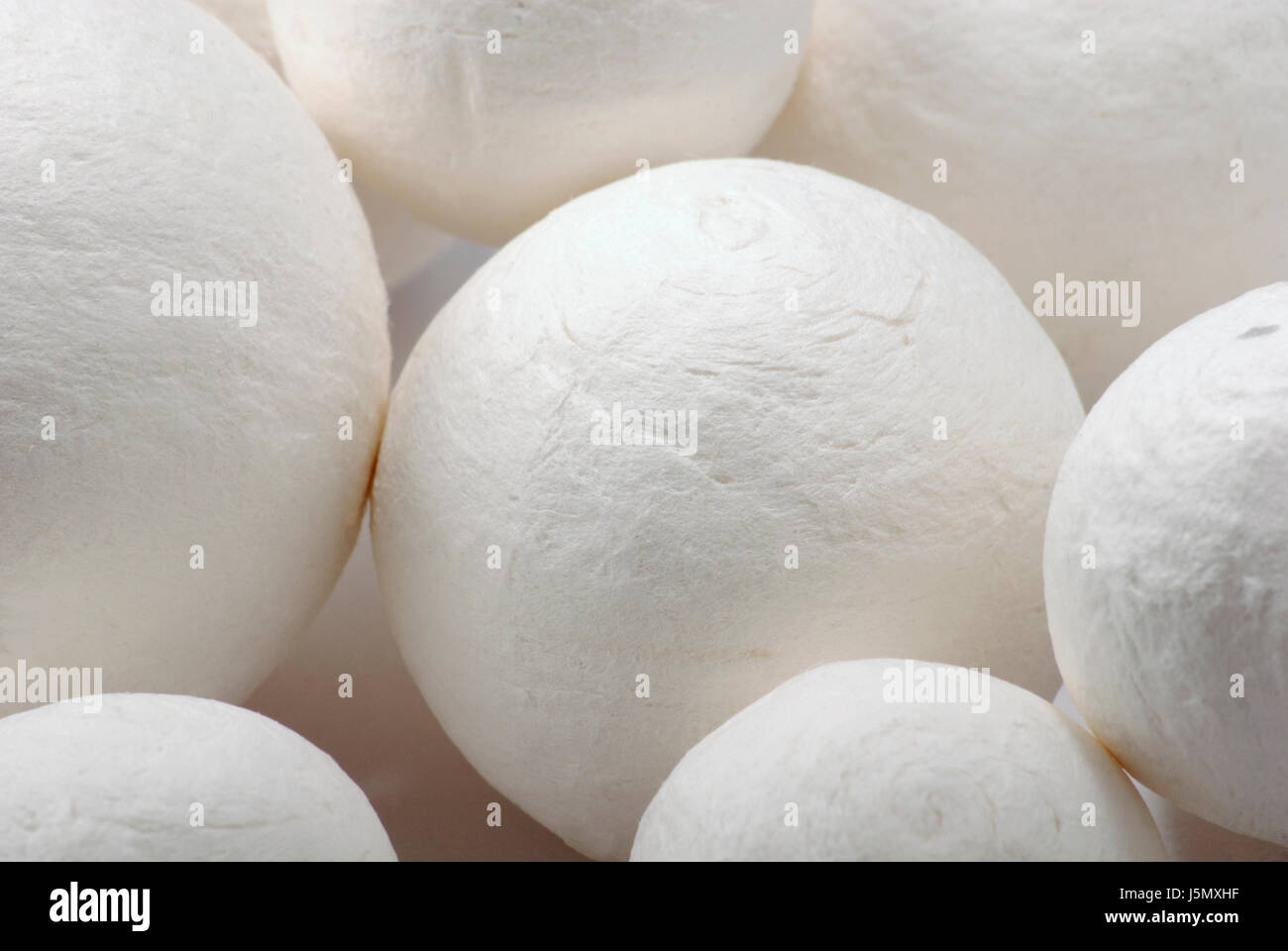 Blank,europe,portrait,d'équipe,8,groupe,parfait,bols bol,groupe,round Banque D'Images