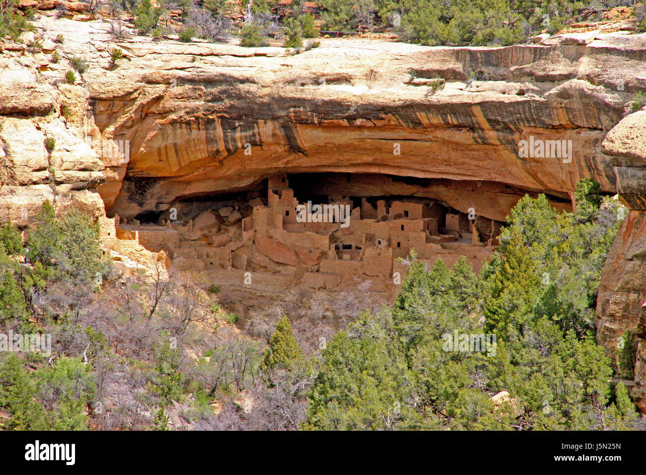 Parc national usa rock america anasazi archologische sttte Cliff dwellings Banque D'Images