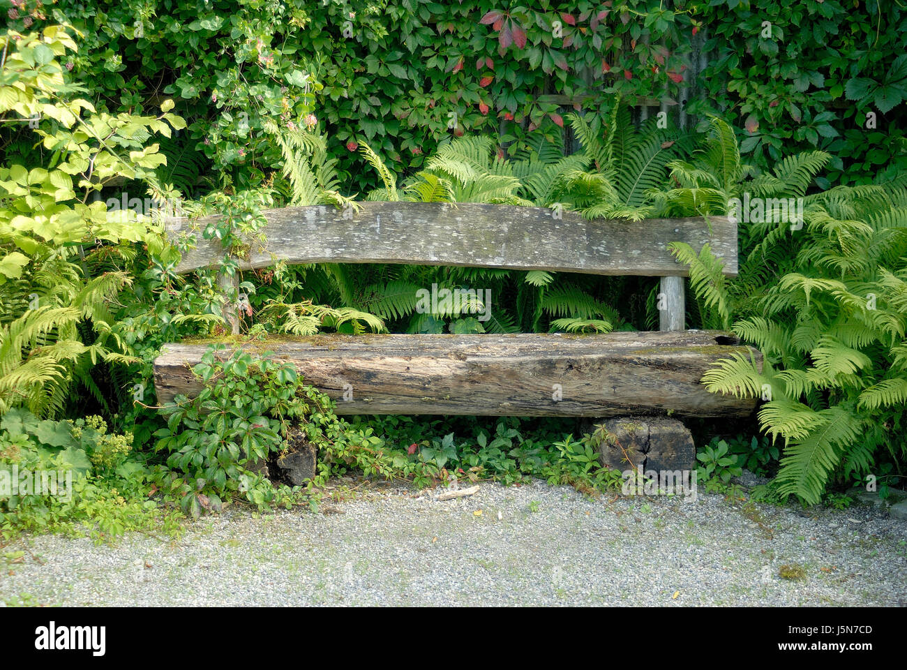 Plante de jardin détente bois vert calme silence radio silence gravel Banque D'Images