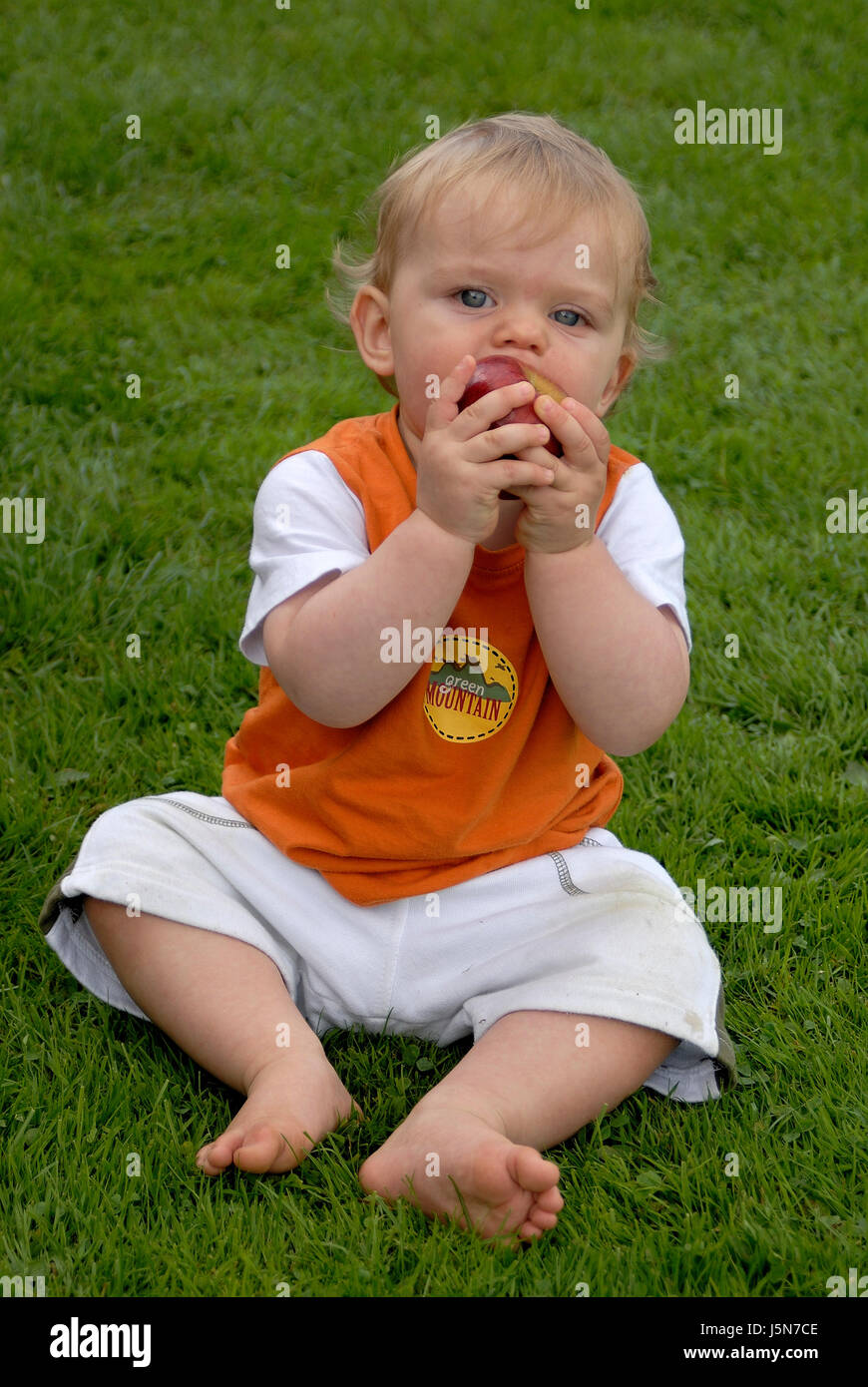Enfant mangeant apple en prairie Banque D'Images