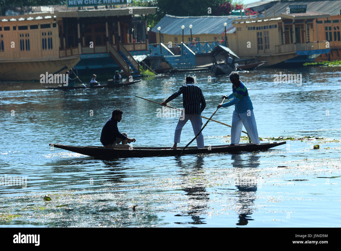Nettoyage du joyau du Cachemire, pour sauver Dal, enlèvement des mauvaises  herbes priorité, mondialement célèbre lac Dal, Jannat on Mission, House  Boat, (© Saji Maramon Photo Stock - Alamy