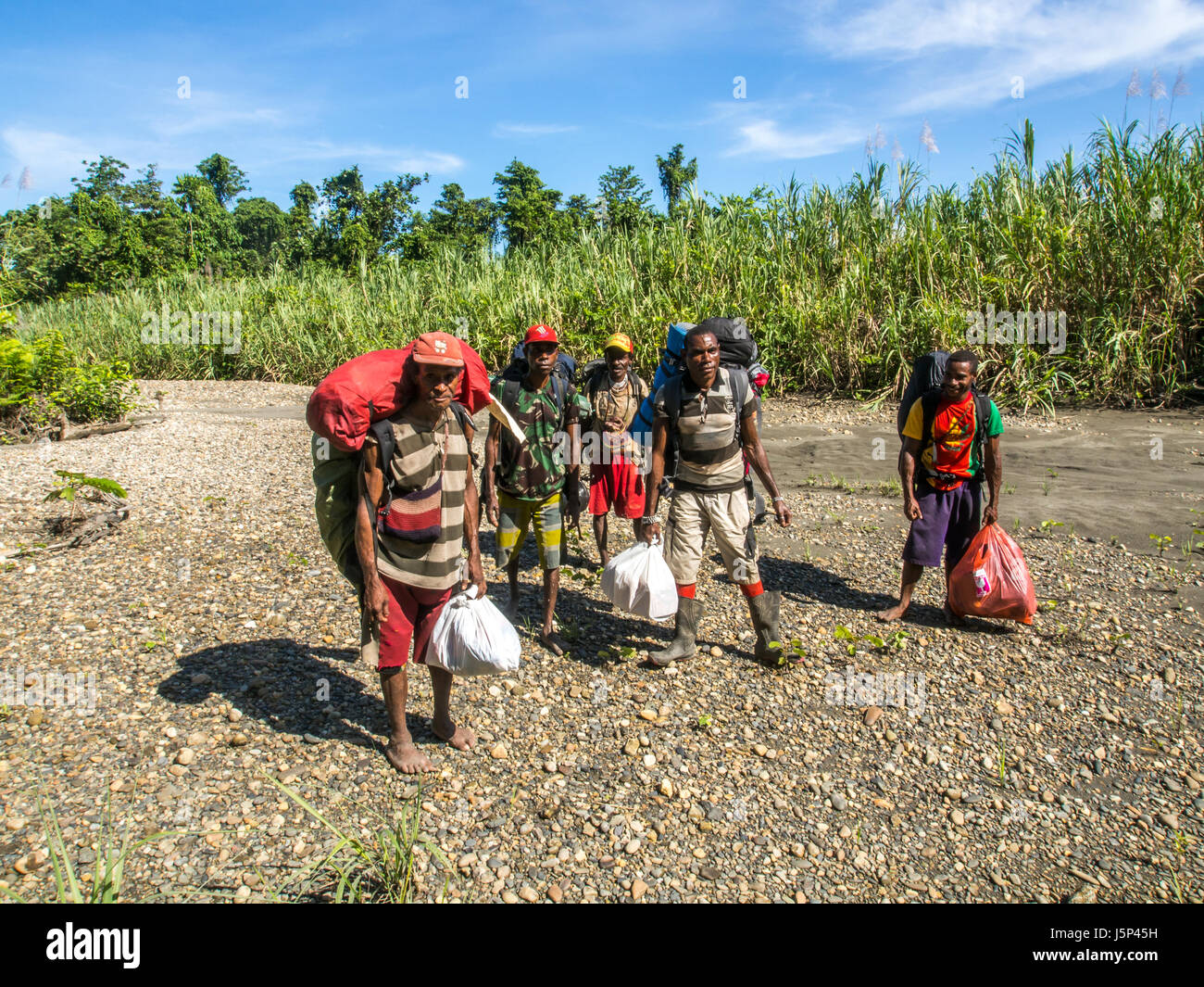 La Papouasie, Indonésie - 15 janvier 2015 : l'équipe d'escorte, porteurs transportant des touristes assurance pendant le voyage à tree house nomades des Korowai Banque D'Images