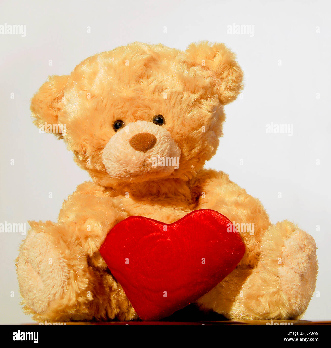 Pet de l'ours en peluche jouet en peluche ours en peluche comique mignon  calin darling Photo Stock - Alamy