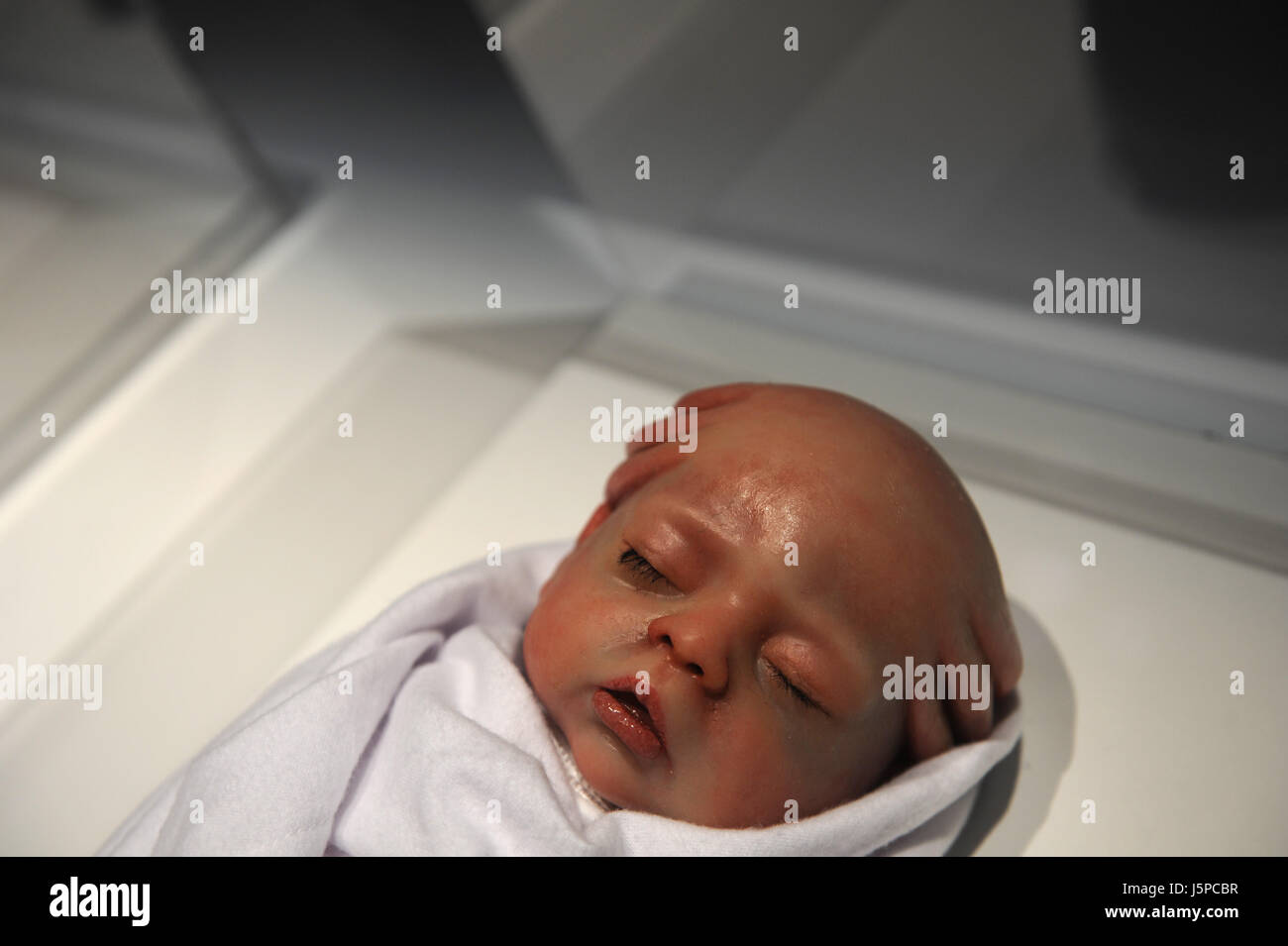 Body World Exhibition Banque D Image Et Photos Alamy
