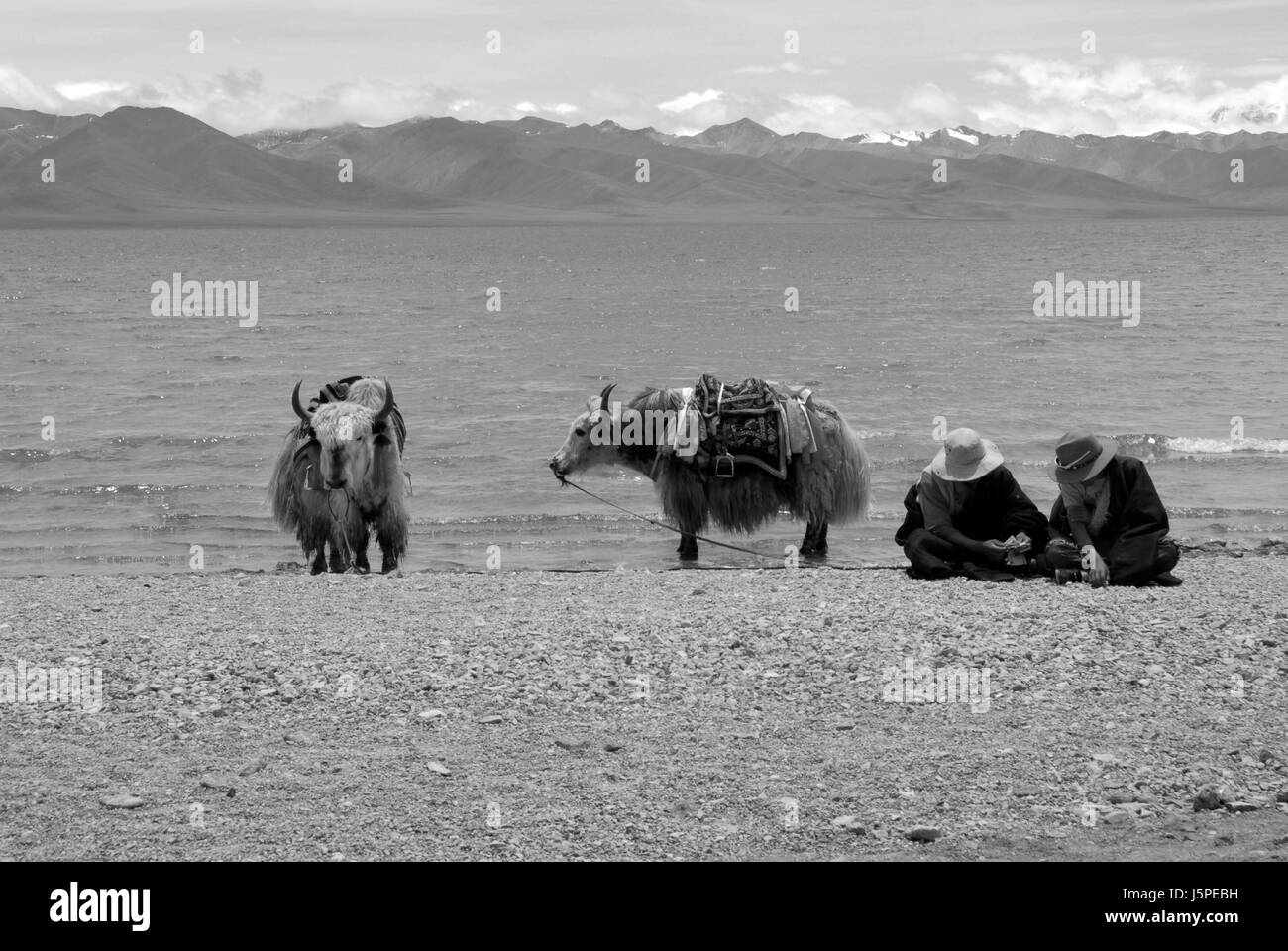 La Chine. 16 mai, 2017. Le Tibet, LA CHINE-Mai 2017 : (usage éditorial uniquement. Chine).Le Tibet, situé dans le sud-ouest de la Chine, est considérée comme une destination sainte par de nombreuses personnes. Crédit : SIPA Asie/ZUMA/Alamy Fil Live News Banque D'Images