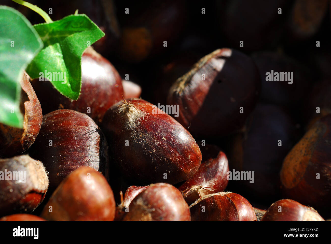 Chestnut délicatesse rouille oxydée comestibles rôti rôti esskastanie desséchée Banque D'Images