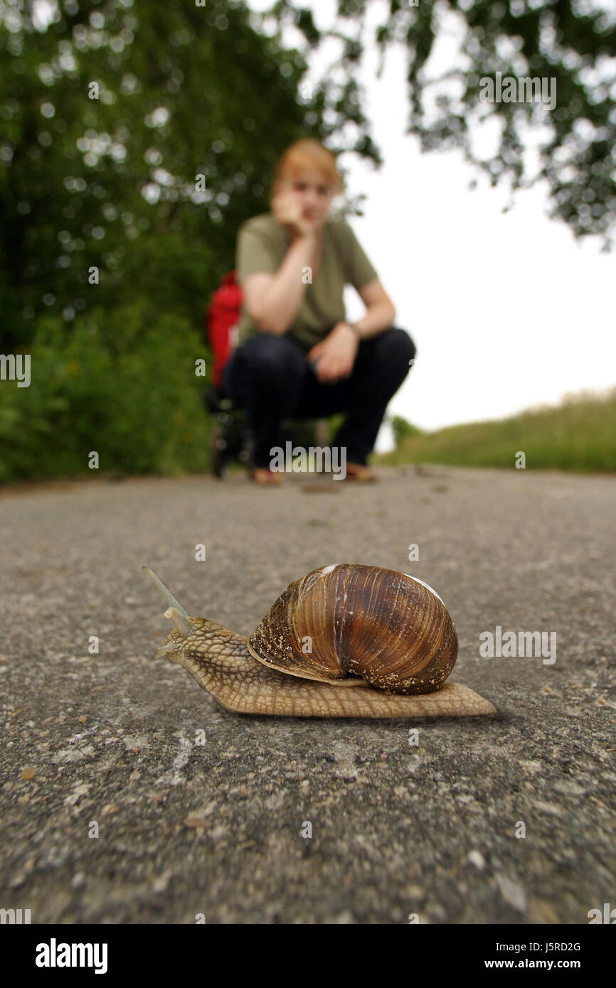 Femme d'attente attente transport trafic crouch plate entrave à un escargot Banque D'Images