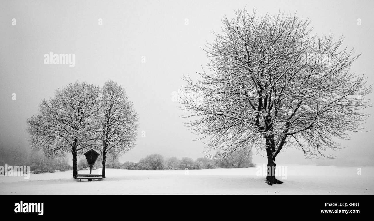 Arbre arbres paysage neige hiver croix idylle croyance arbre arbres cold le Tyrol du sud Banque D'Images