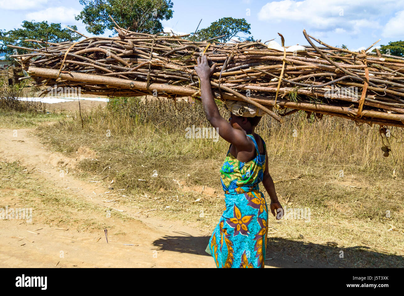 Femme portant un lourd paquet de bois sur sa tête, marcher sur un chemin de terre d'un village rural au Malawi, l'Afrique Banque D'Images