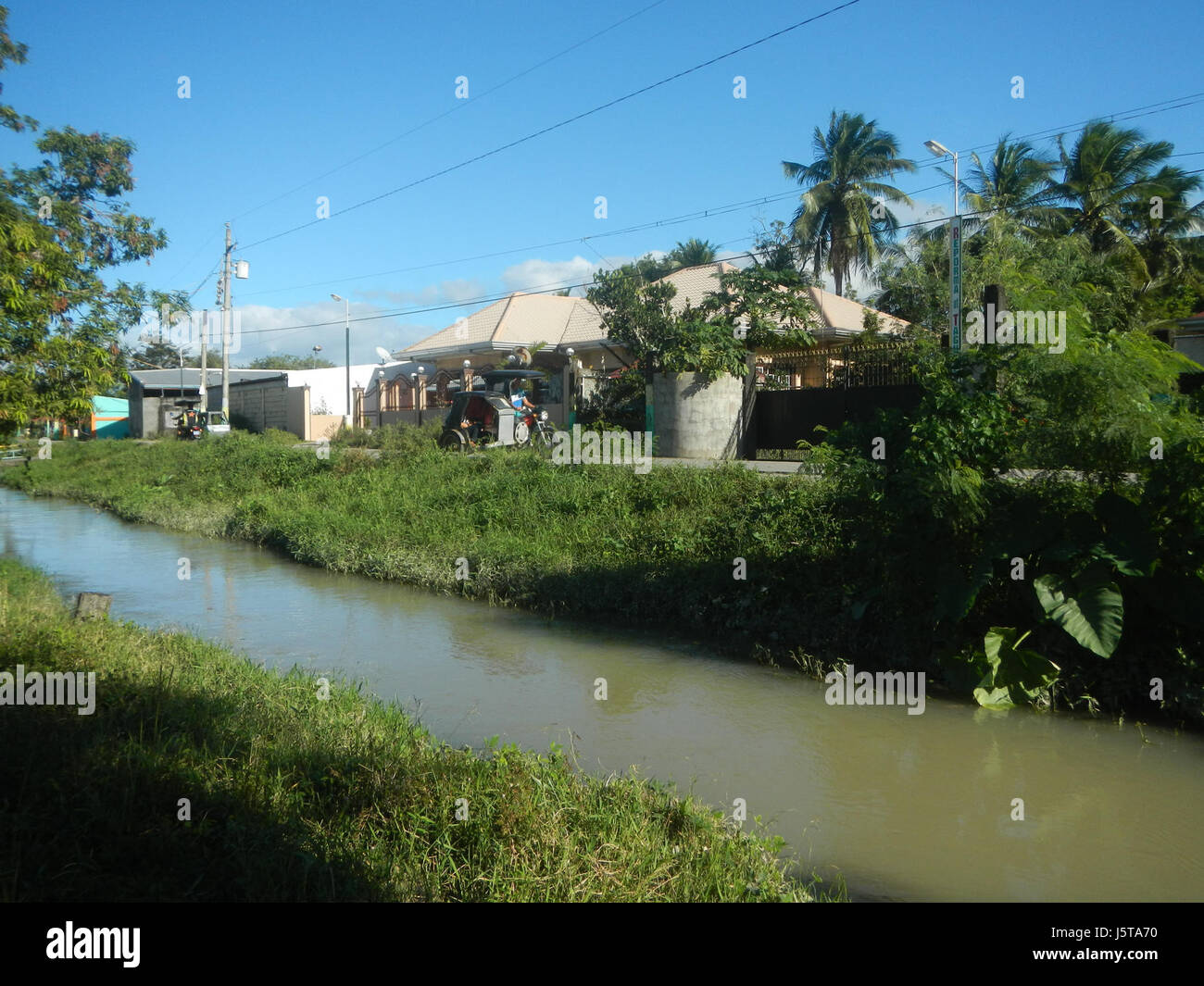 0326 arbres rizières Bantog irrigation San Miguel Salles de Bulacan Routes 11 Banque D'Images