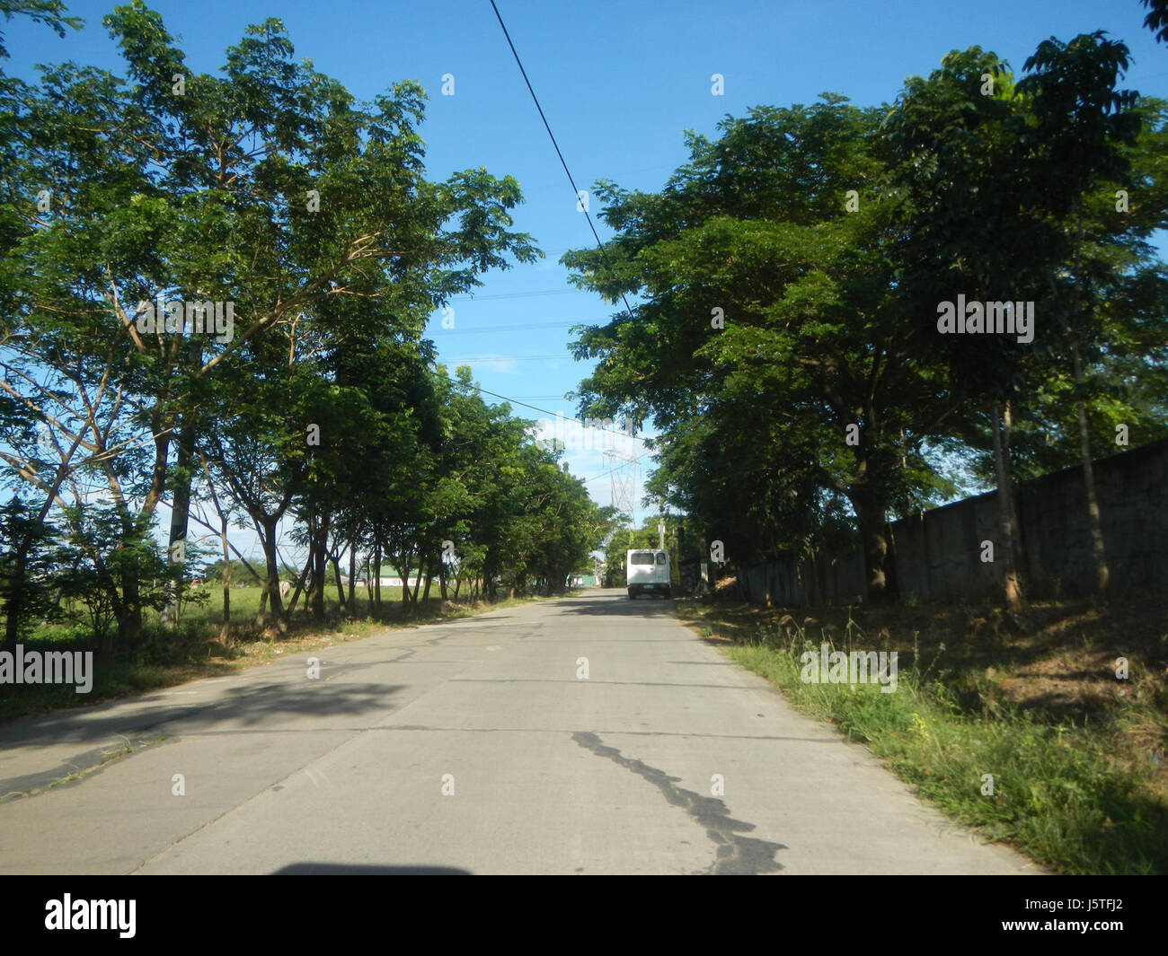 Une photographie représentant les prairies, les rizières et les arbres le long de la route Farm to Market à San Ildefonso, Bulacan, montrant la vie agricole rurale. Banque D'Images