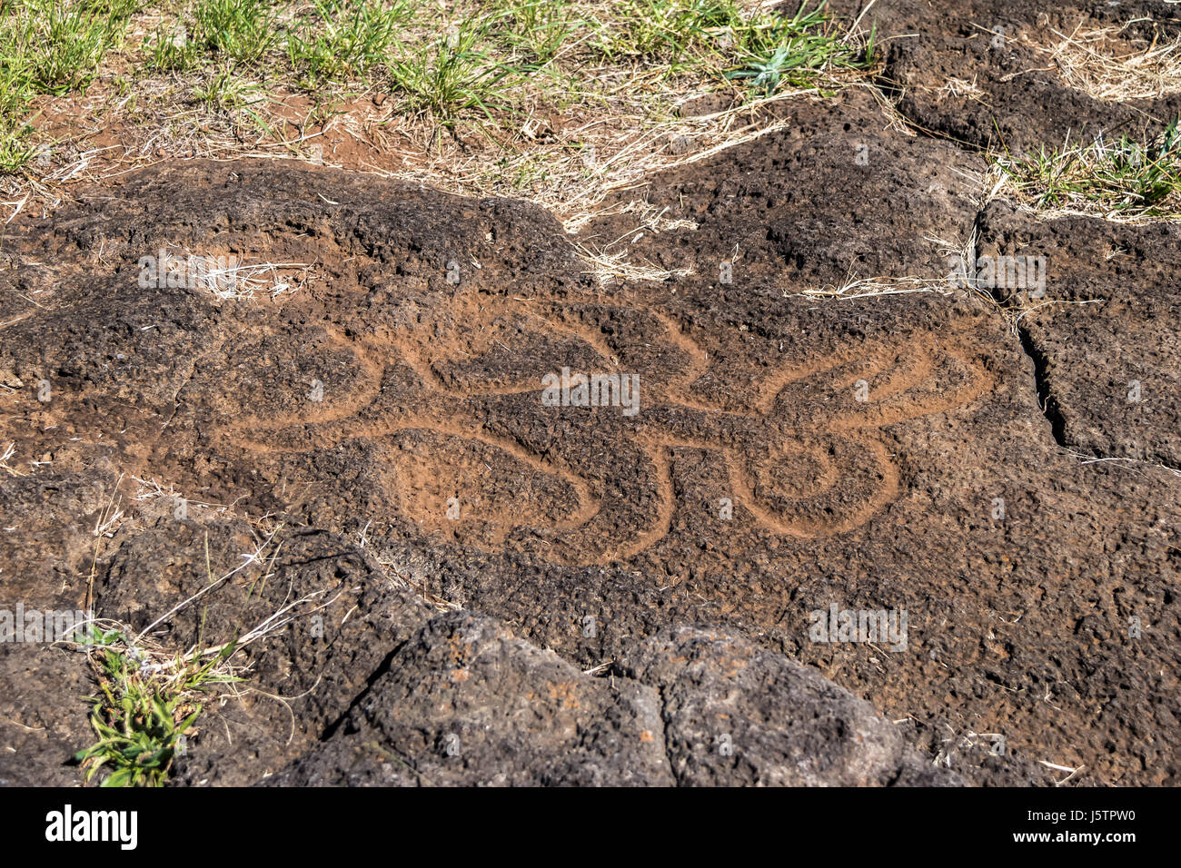 Birdman sculptures de pétroglyphes près de Ahu Tongariki - plate-forme de l'île de Pâques, Chili Banque D'Images