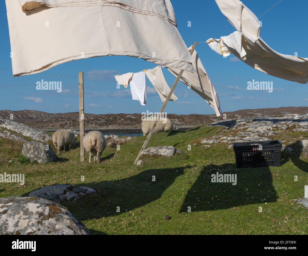 Journée à laver sur Arinagour il y hebridean Ile de Coll Ecosse Banque D'Images