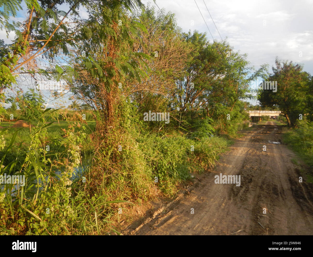 Cette image représente le paysage agricole de Sitio Sakdalan, San Jose, Plaridel, avec des rizières, des arbres, et les étangs à poissons avec des systèmes d'irrigation qui soutiennent l'agriculture locale. Banque D'Images