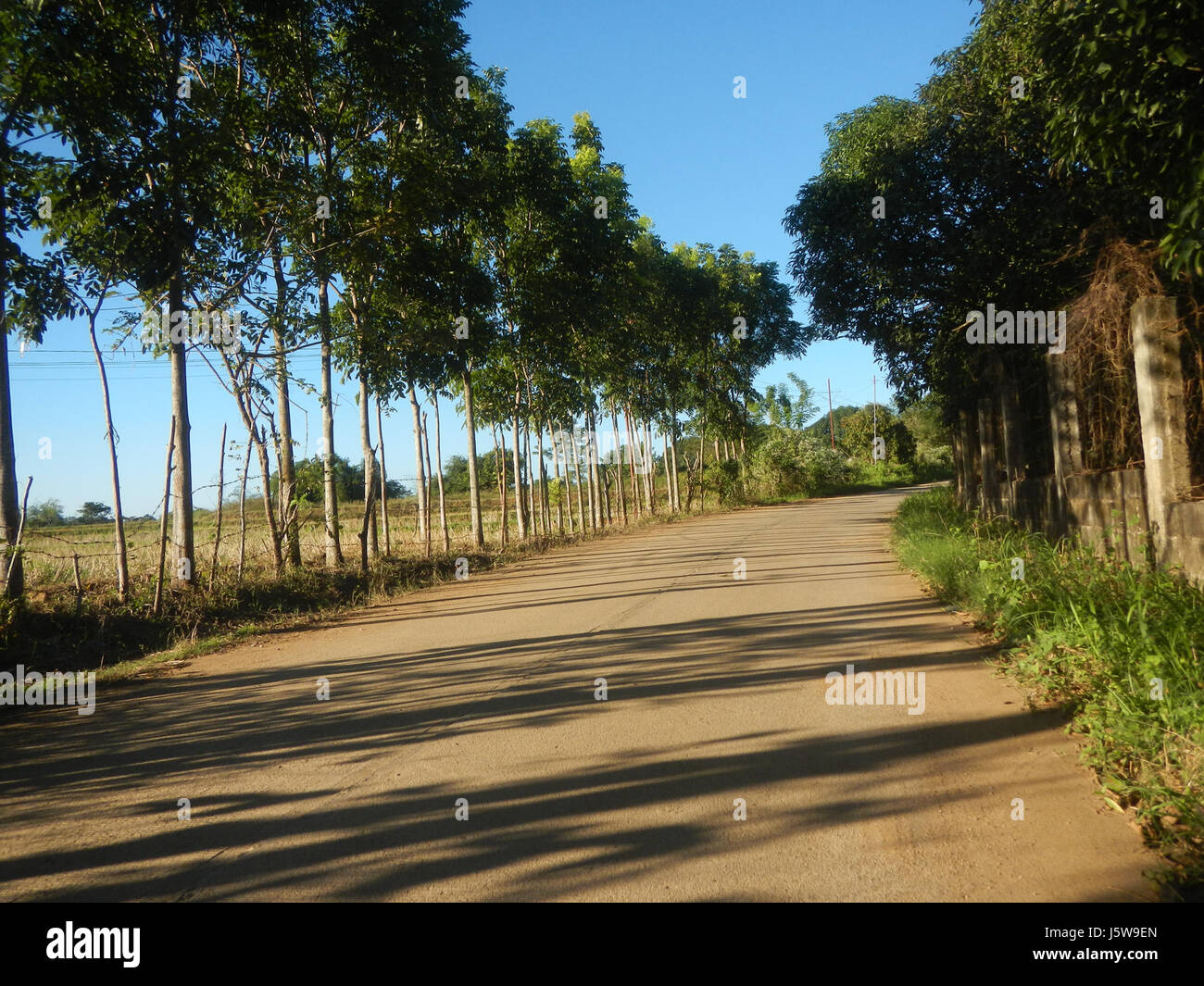 0394 rizières arbres prairies Tukod Pahalang Sapang, San Rafael, Bulacan Road 04 Banque D'Images