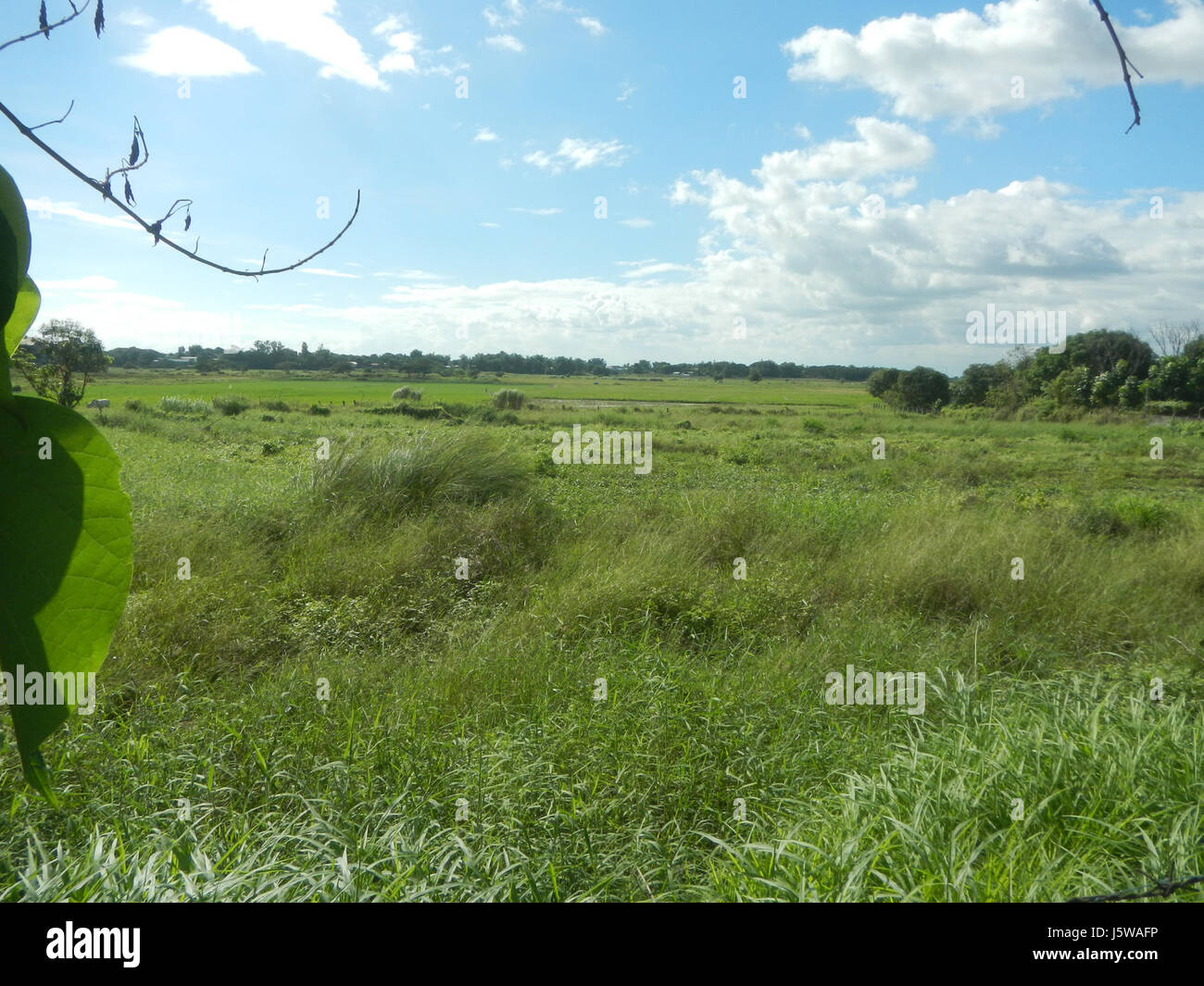 La congestion du trafic est un problème courant dans la région de Matimbubong Sapang Putol, San Ildefonso, Bulacan. Les routes encombrées affectent la circulation locale et constituent un défi pour les navetteurs quotidiens. Les efforts visant à atténuer les problèmes de circulation se poursuivent, le gouvernement local travaillant sur des solutions de gestion de la circulation pour améliorer la situation et réduire les retards pour les résidents et les voyageurs. Banque D'Images